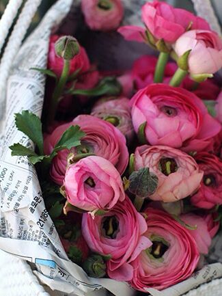 how to wrap a bouquet of flowers in cellophane