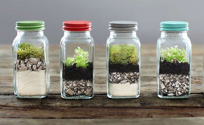 12 Tabletop Terrariums You Can Diy