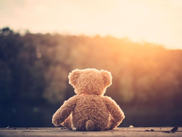 stuffed animals for your girlfriend