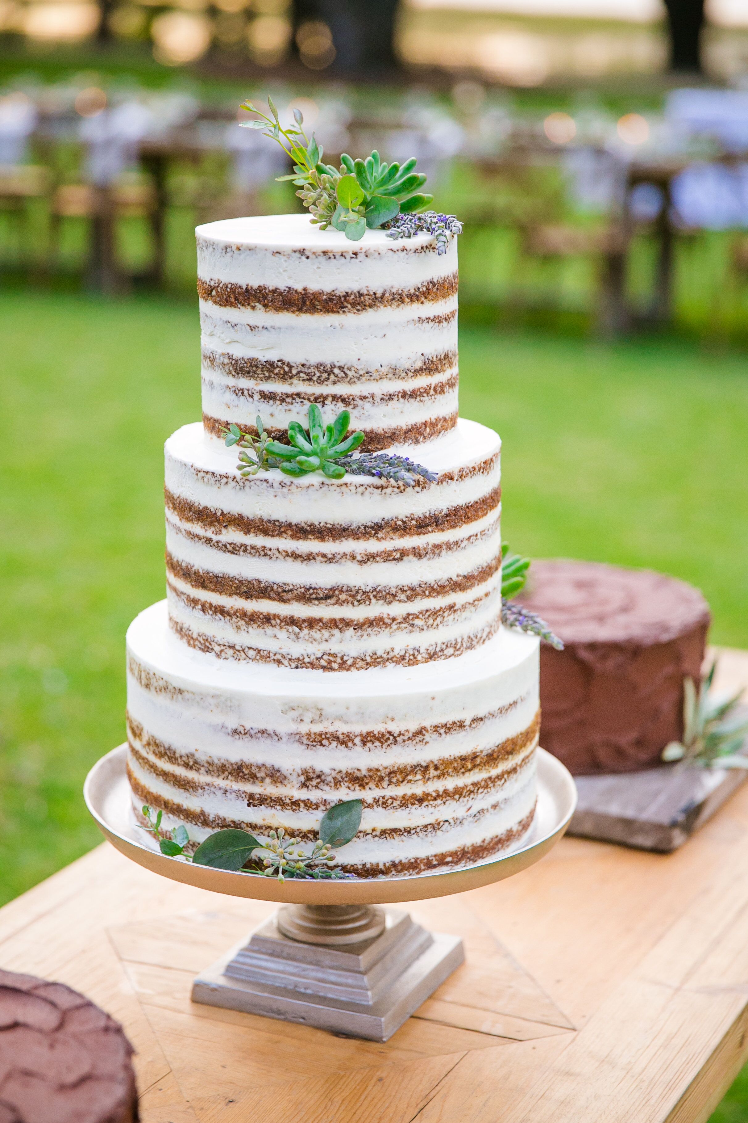 Succulent Studded Tiered Naked Cake