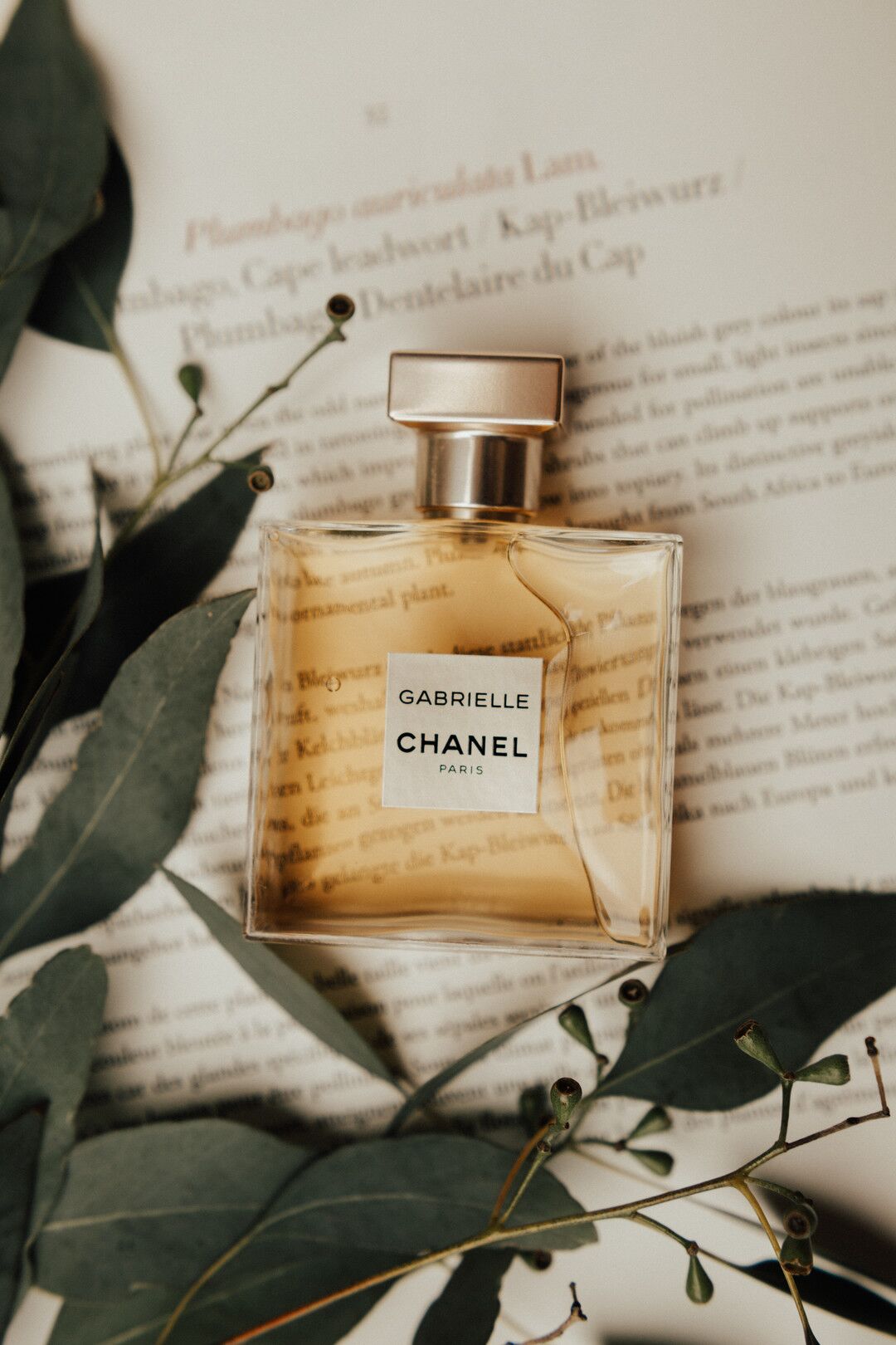 Chanel Gabrielle Perfume