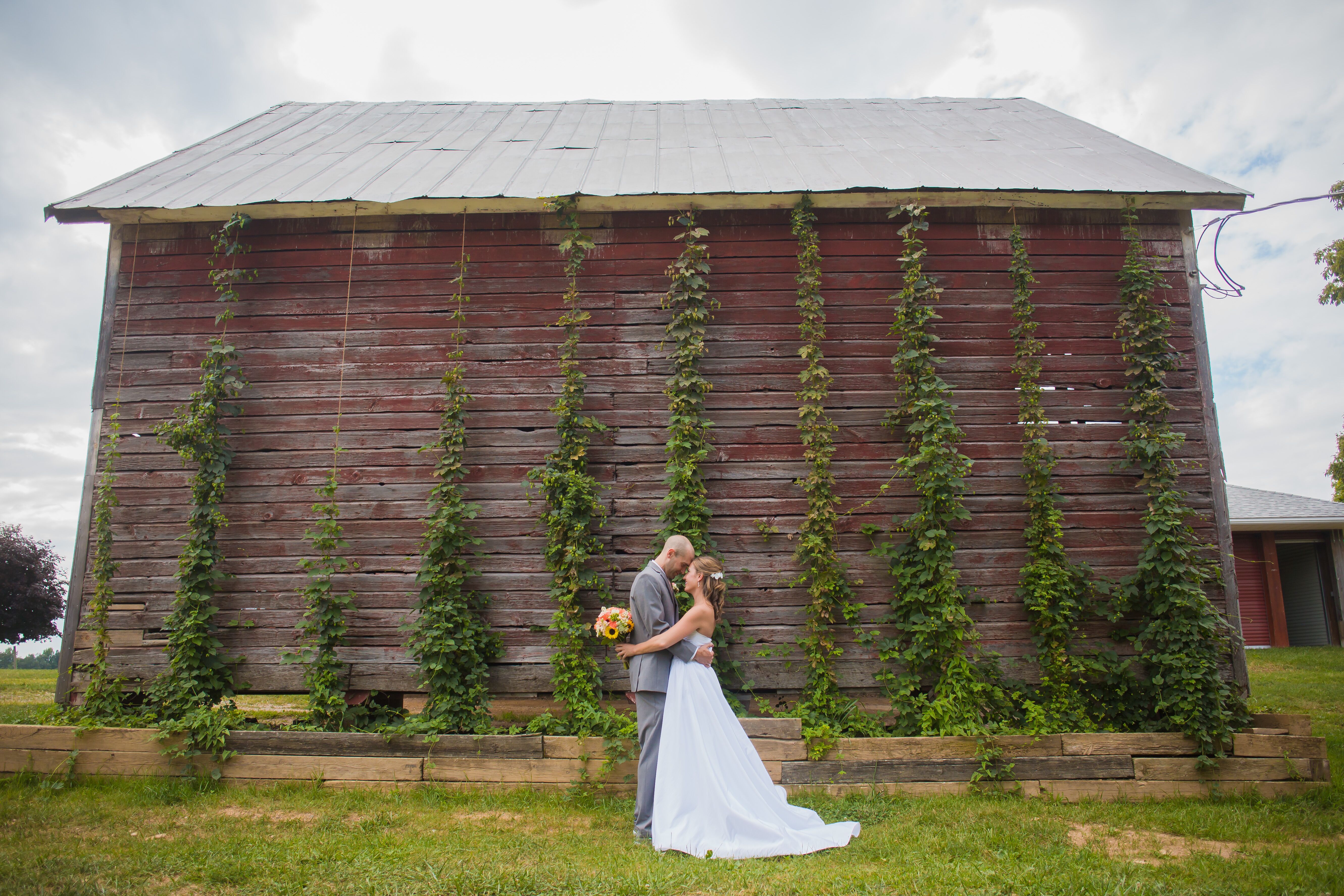 Rustic Vineyard Wedding  at the Linganore Winecellars in 