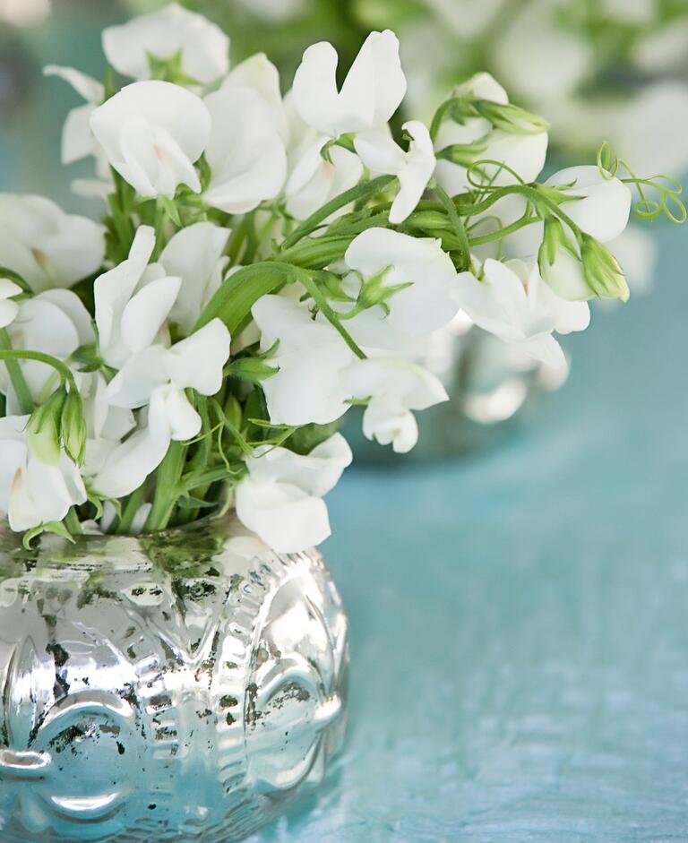 White sweet pea reception table decor