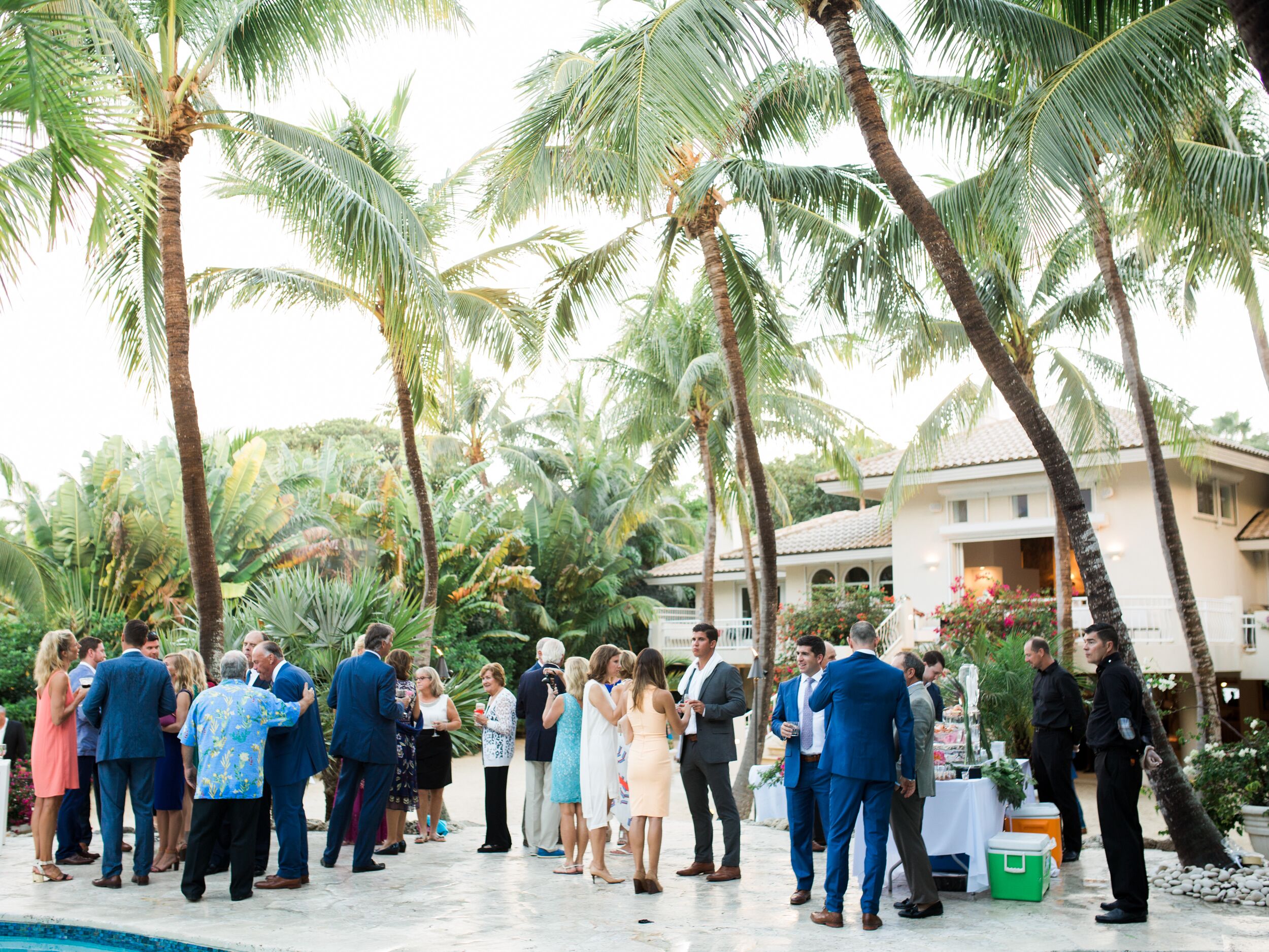 Poolside Cocktail Hour Under Palm Trees