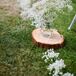 Baby's Breath Aisle Runner With Wooden Slabs