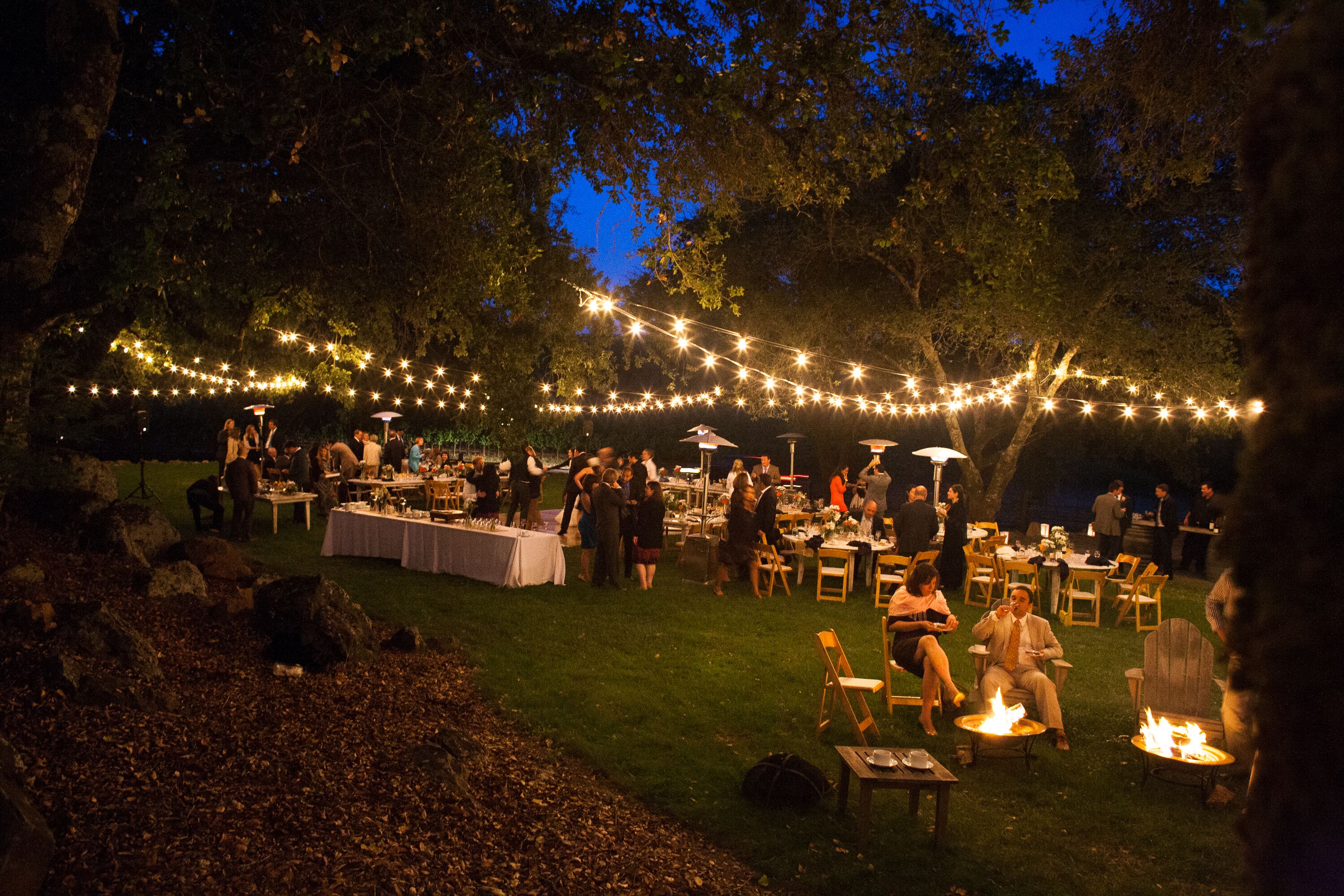 Strung Lights and Fire Pits at Venue