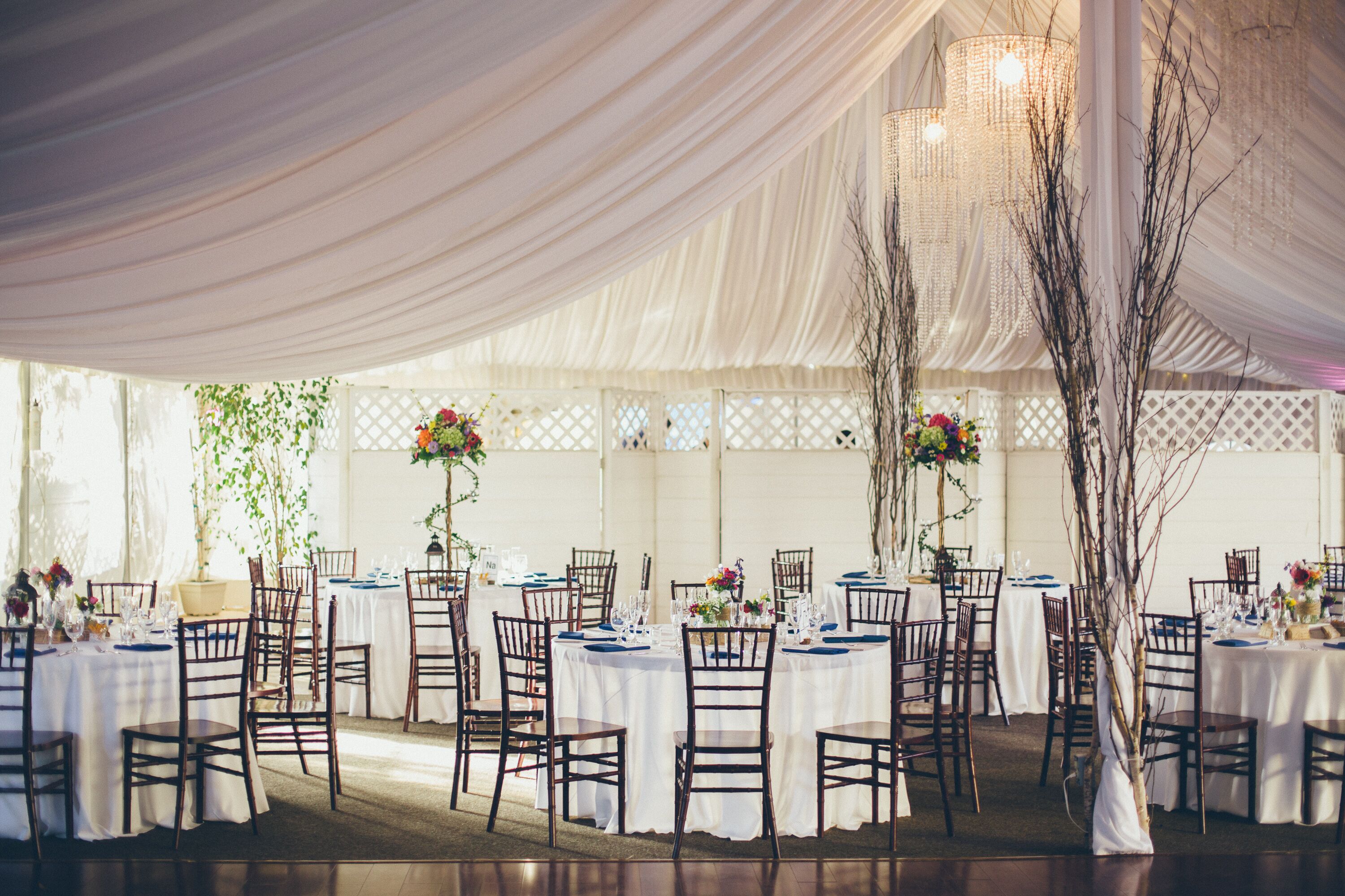 Tree Branch Reception Tent Decorations