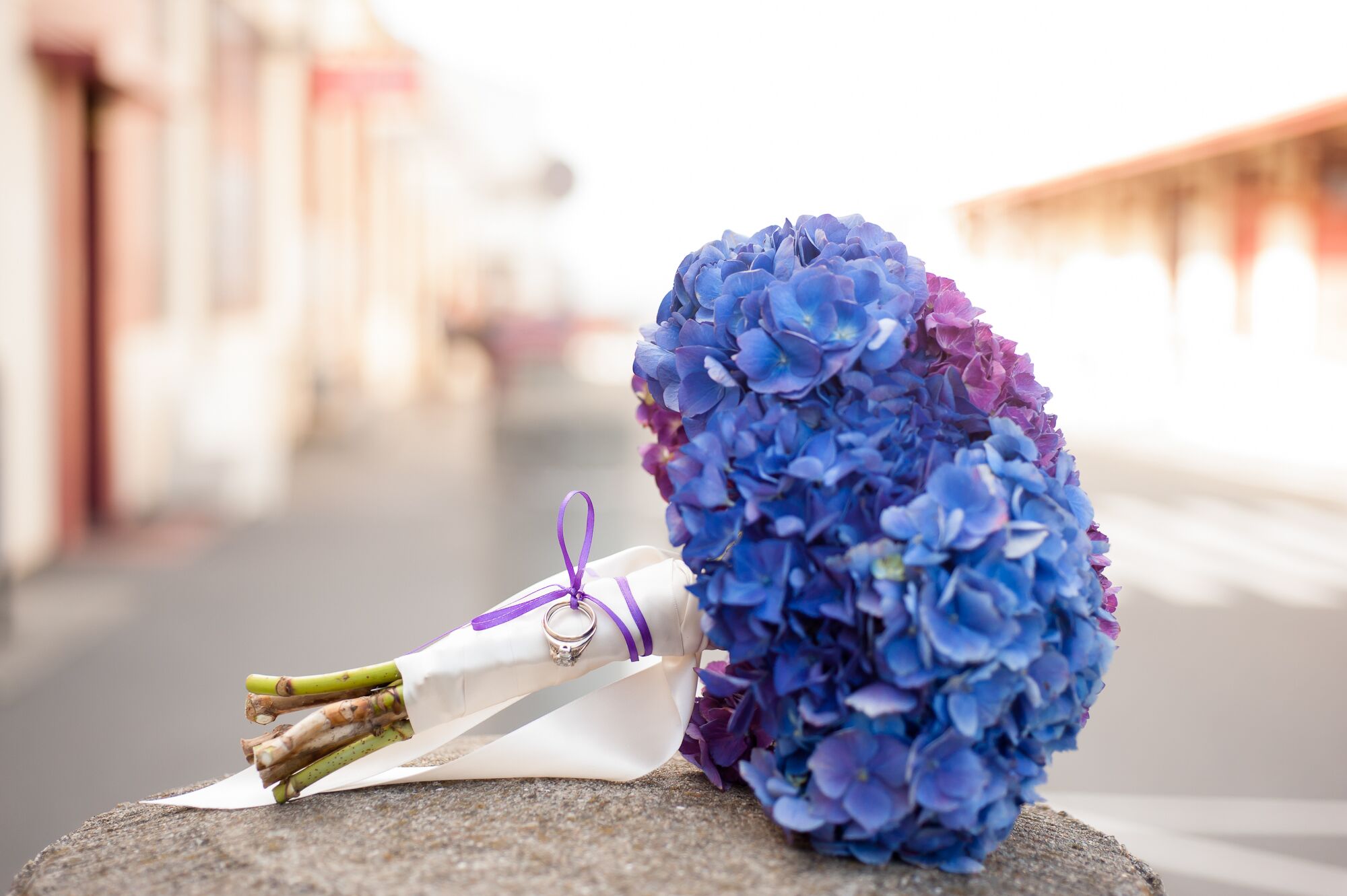 Image of Bouquet of blue and purple hydrangeas