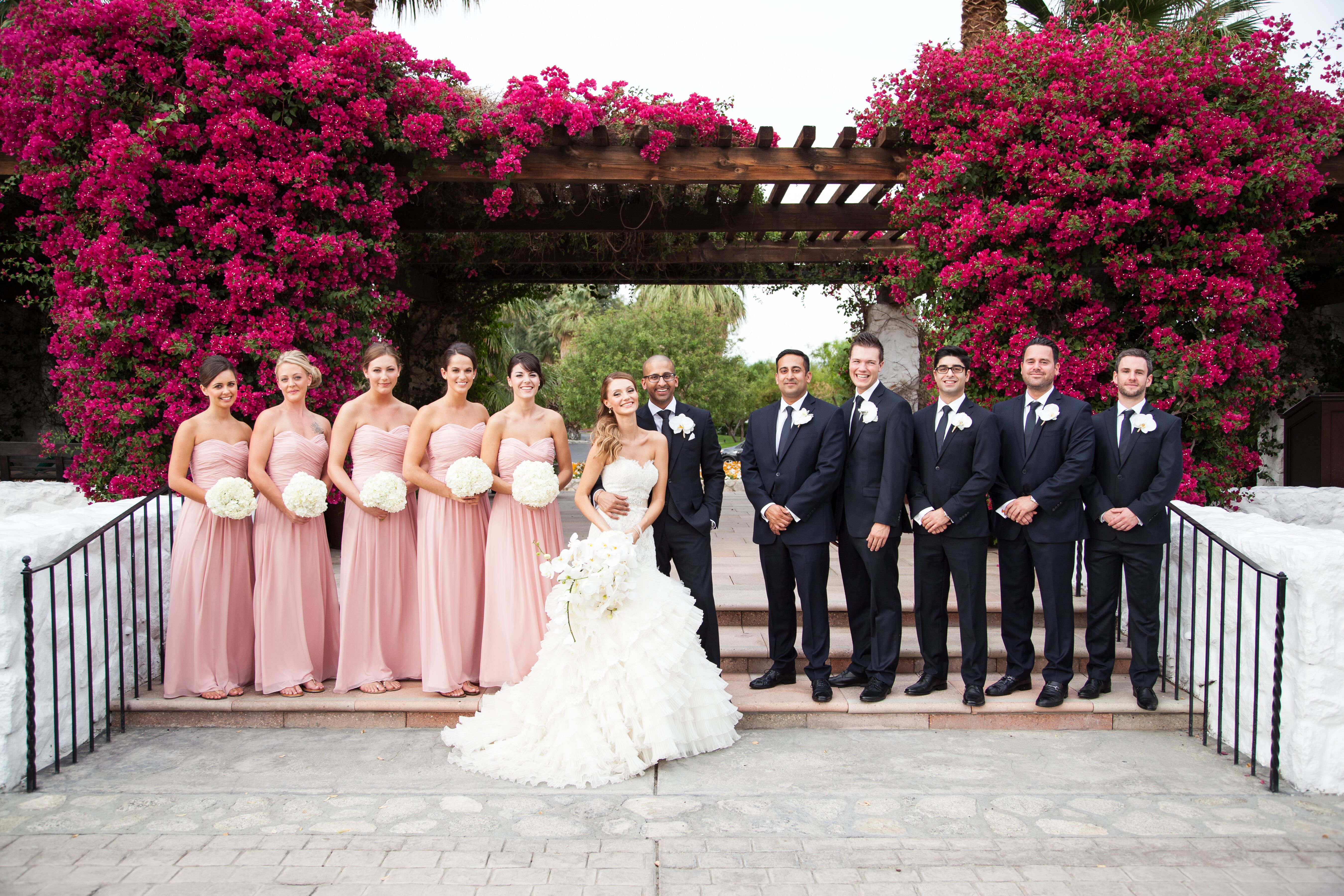 Burgundy and shop blush bridal party