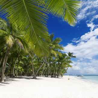 St. Vincent & the Grenadines Honeymoon: Weather and Travel Guide