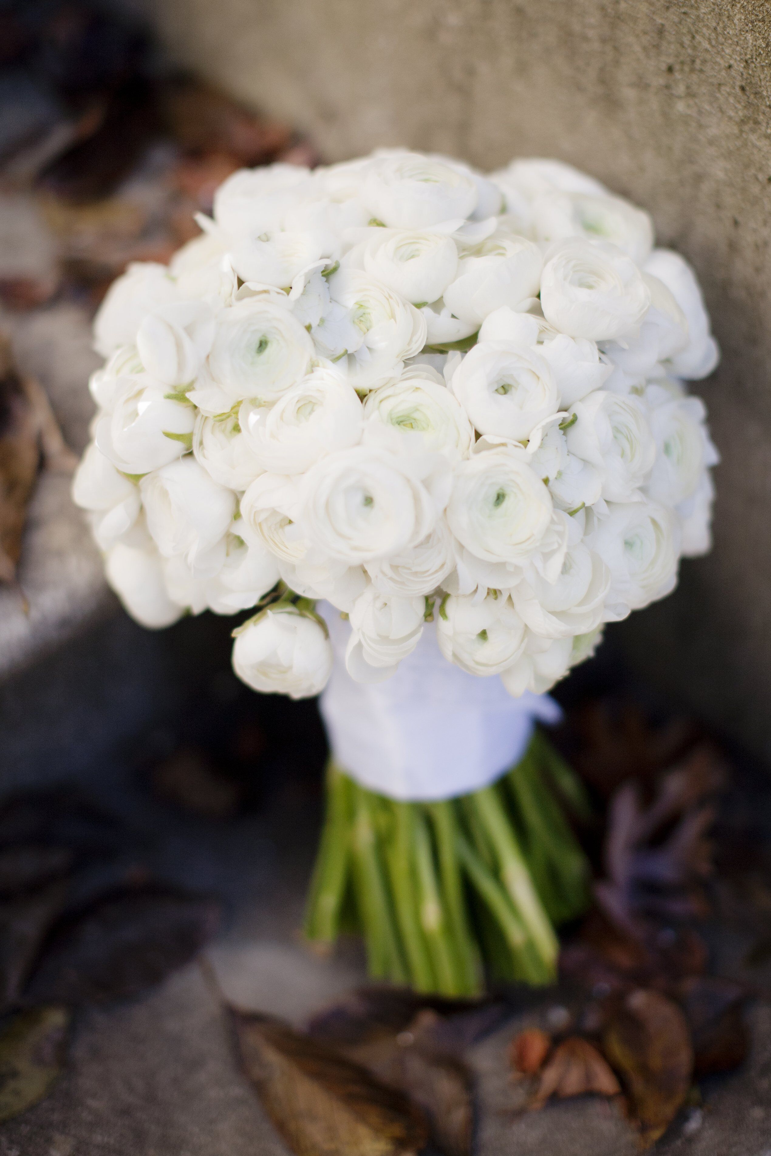 White Ranunculus Bridal Bouquet 4269