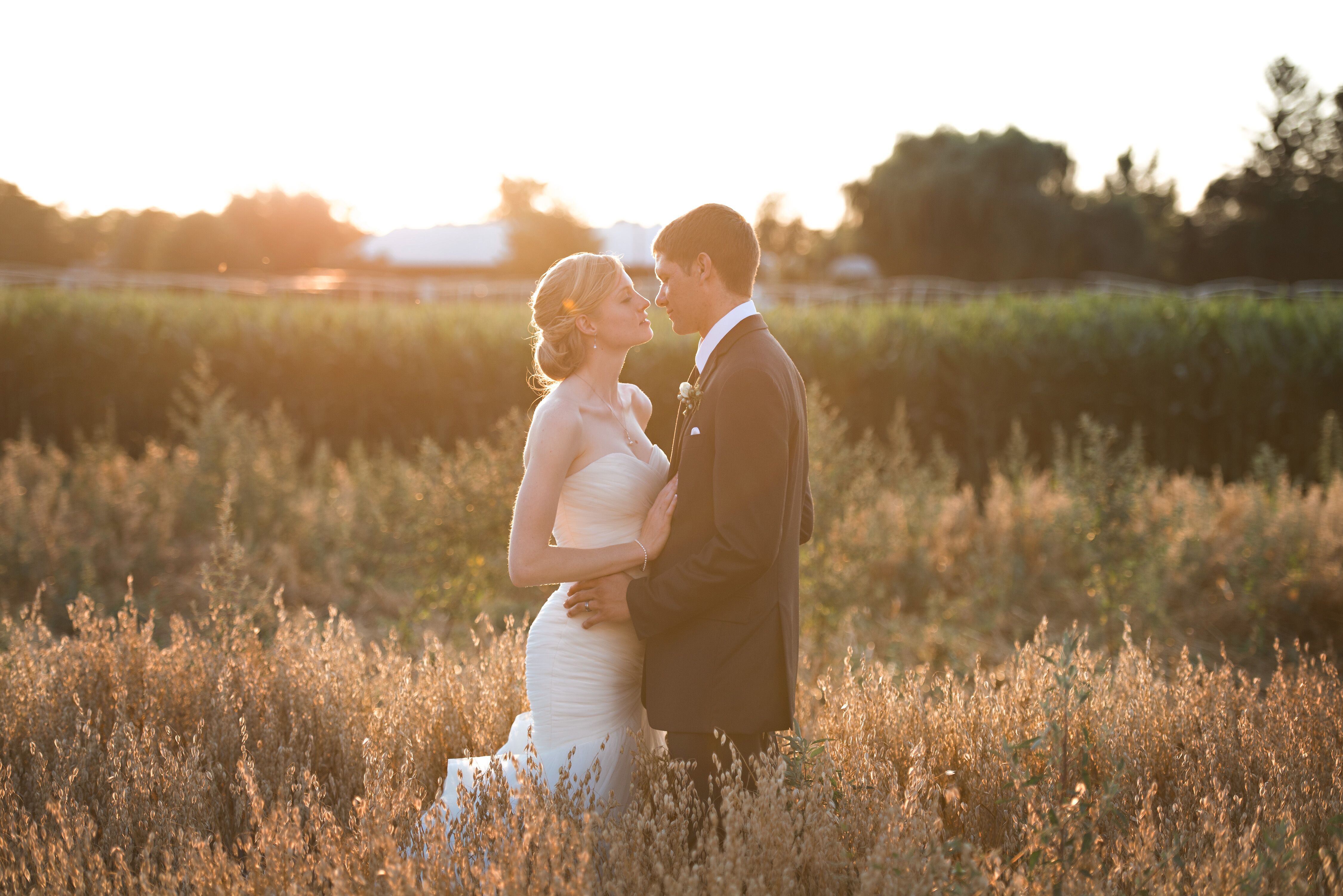 A Romantic Backyard Wedding at a Private Residence in ...