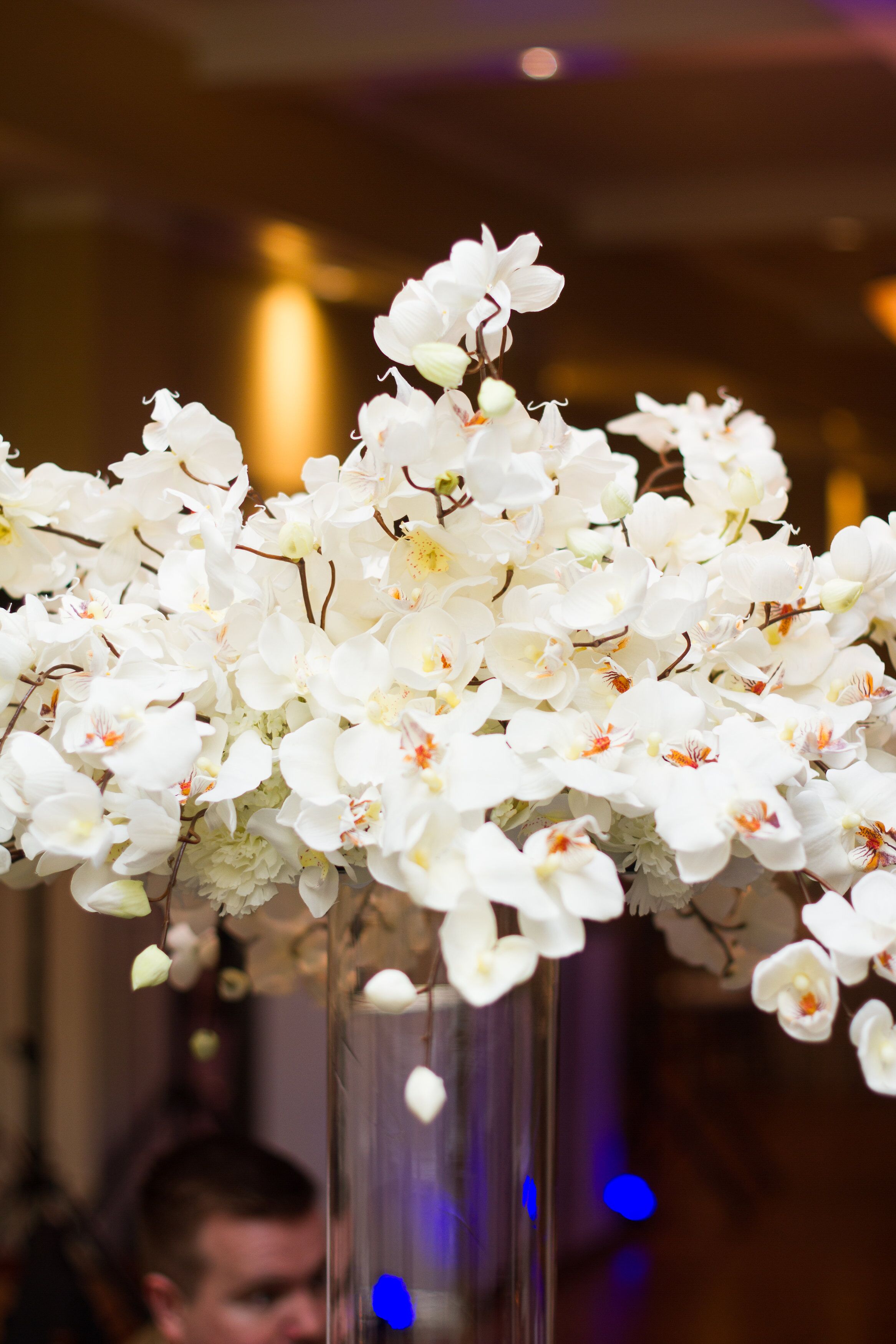 Towering Glass Wedding Centerpieces Filled With White Orchids