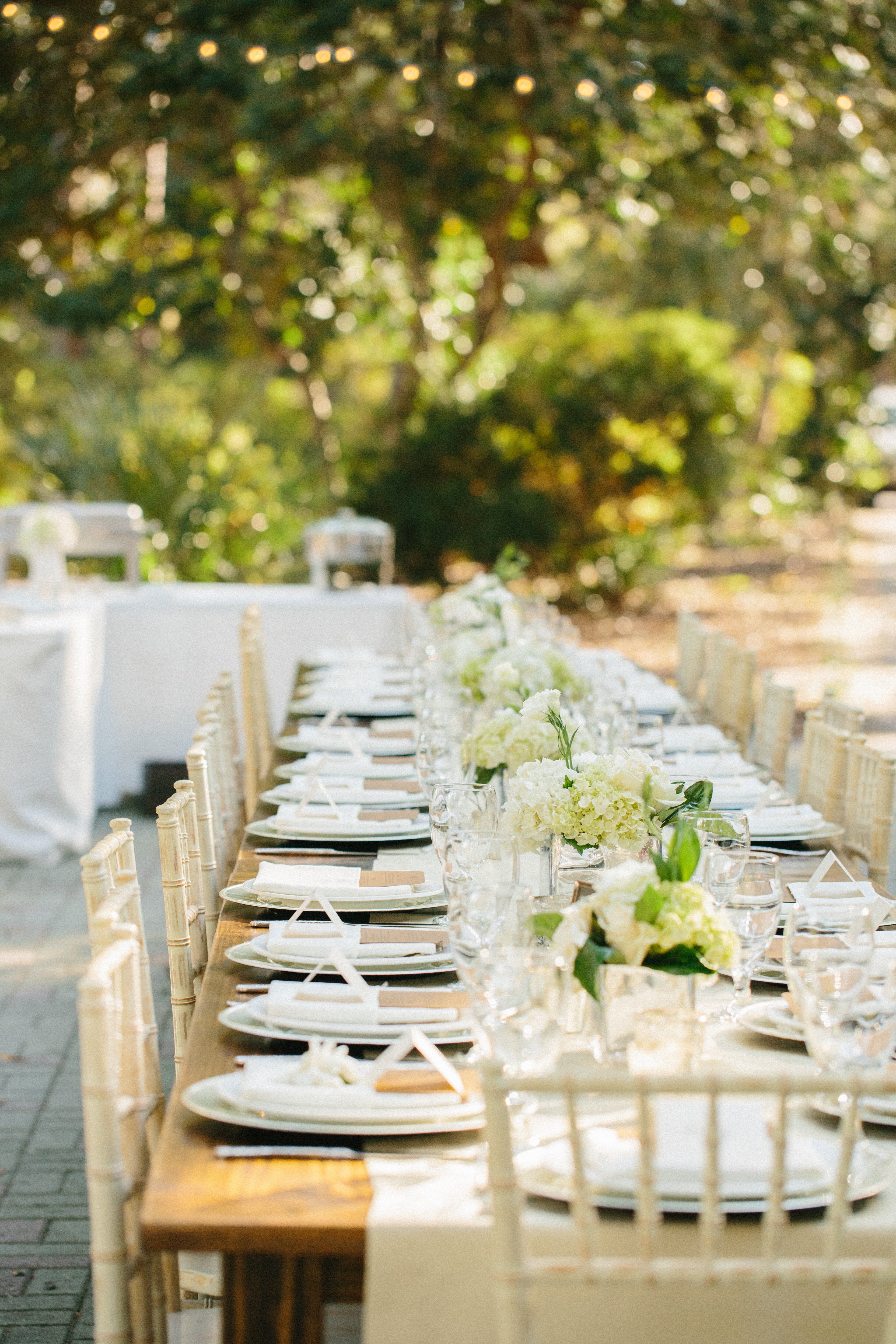 Elegant Rustic Tablescape