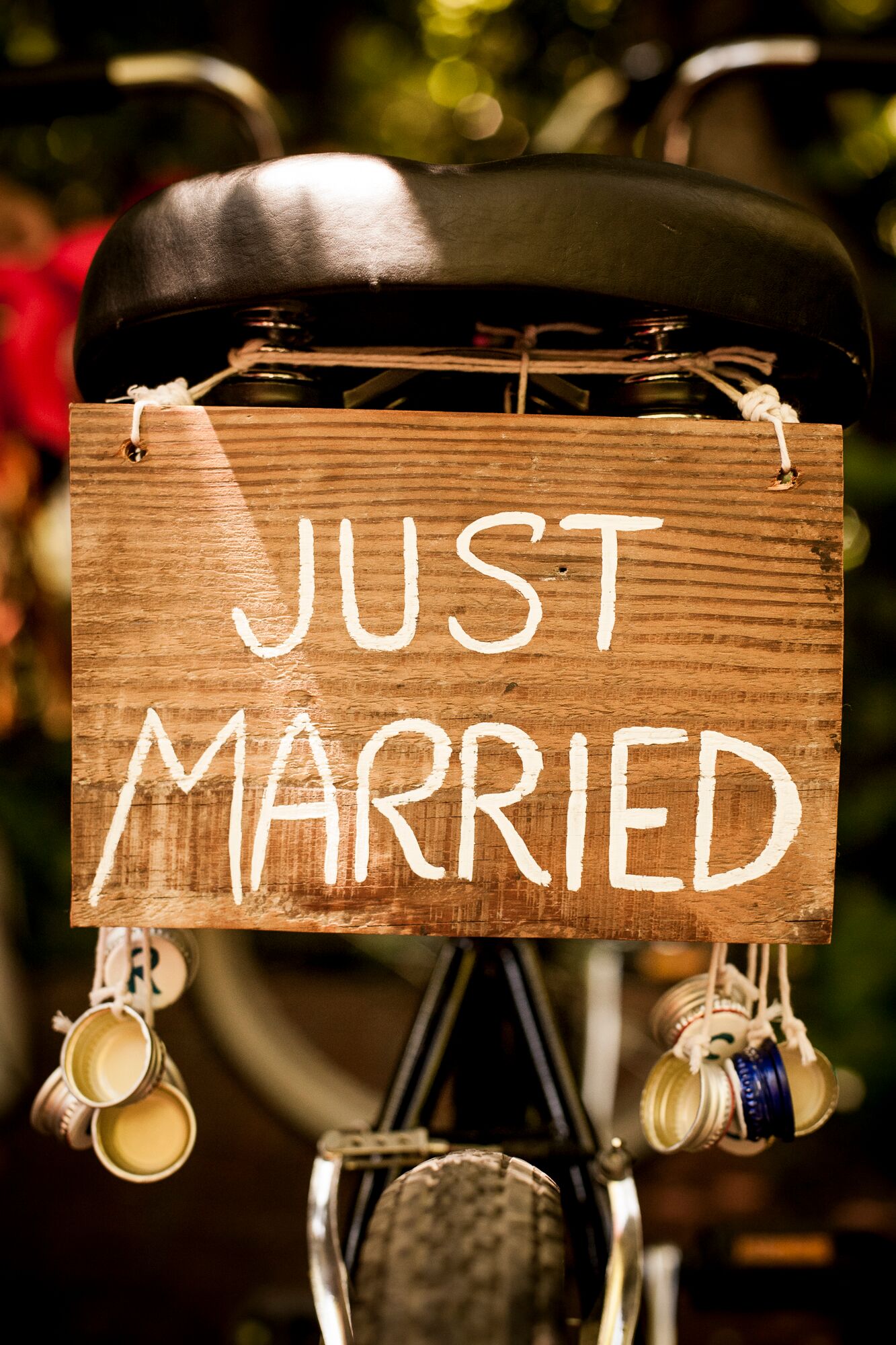 "Just Married" Wooden Sign on Bike