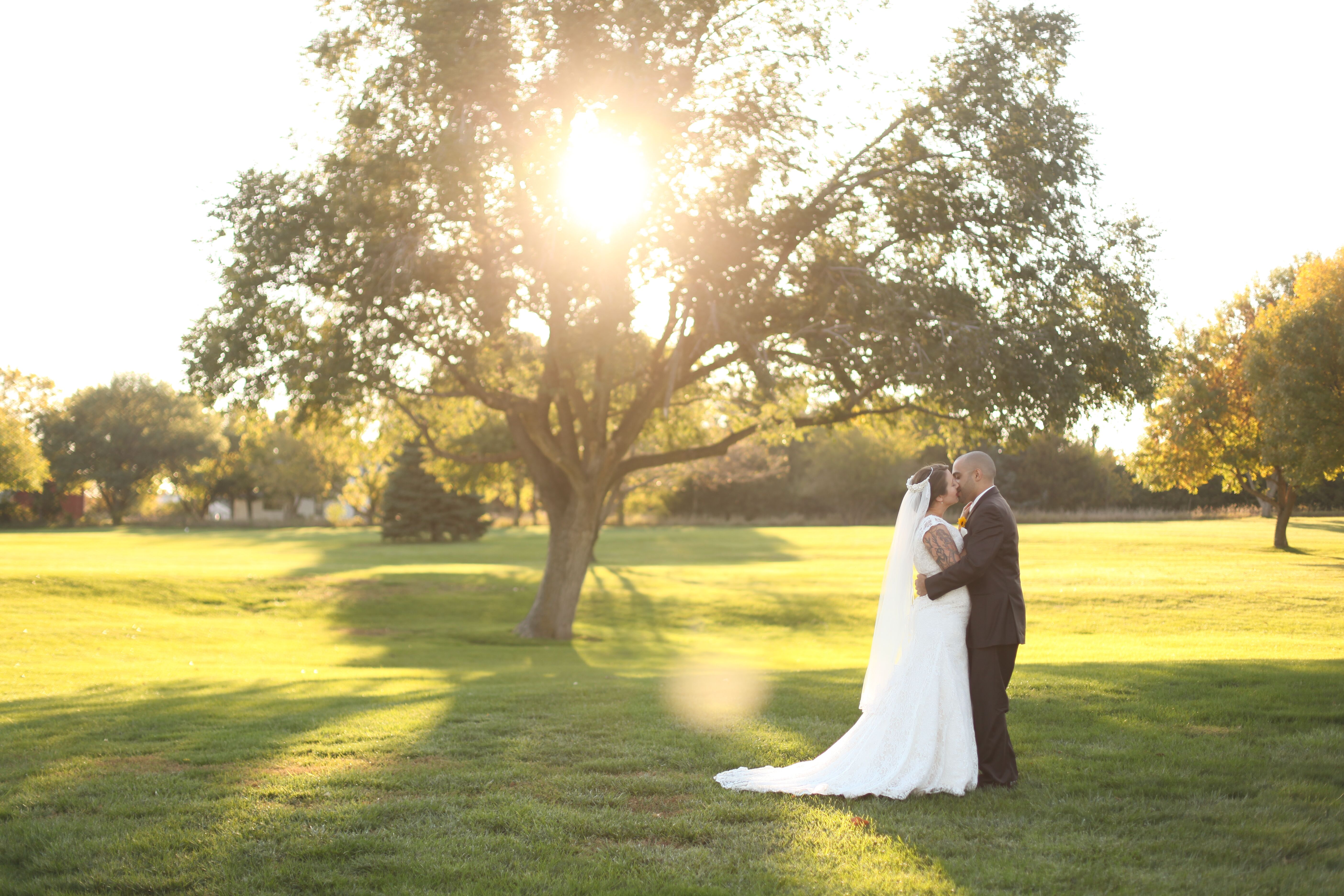 An Elegant Sunflower Wedding at Hidden Valley Golf Course in Lincoln