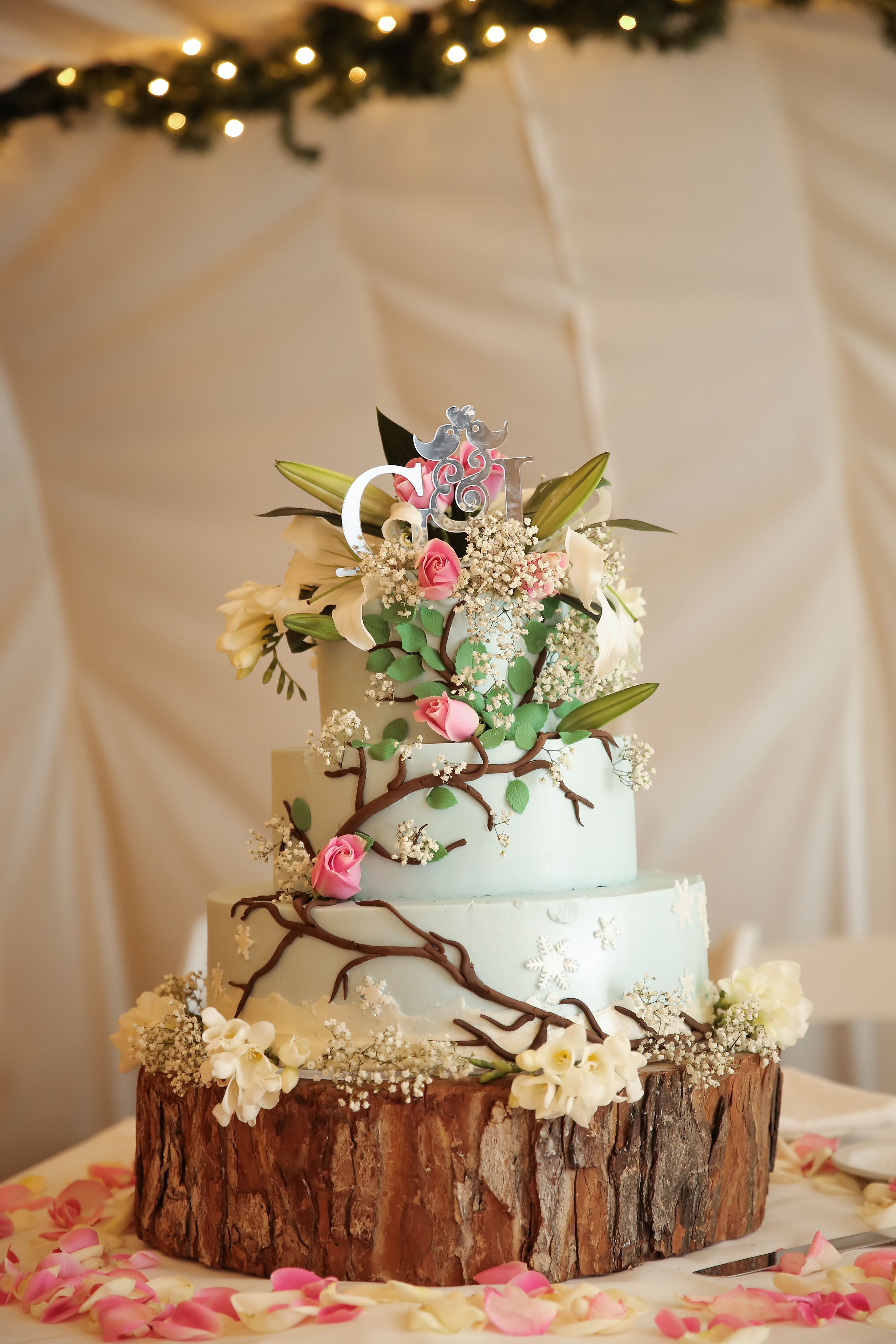 Light Blue Wedding Cake With Vines and Flowers