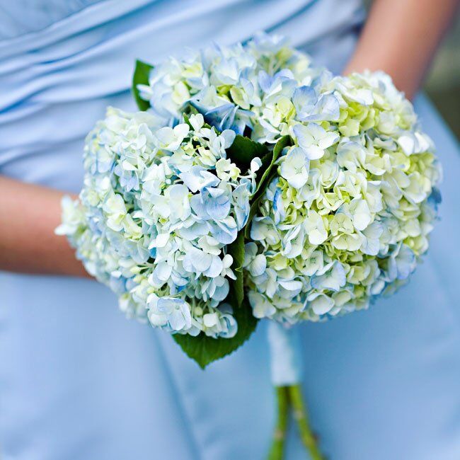 Blue Hydrangea Bouquet