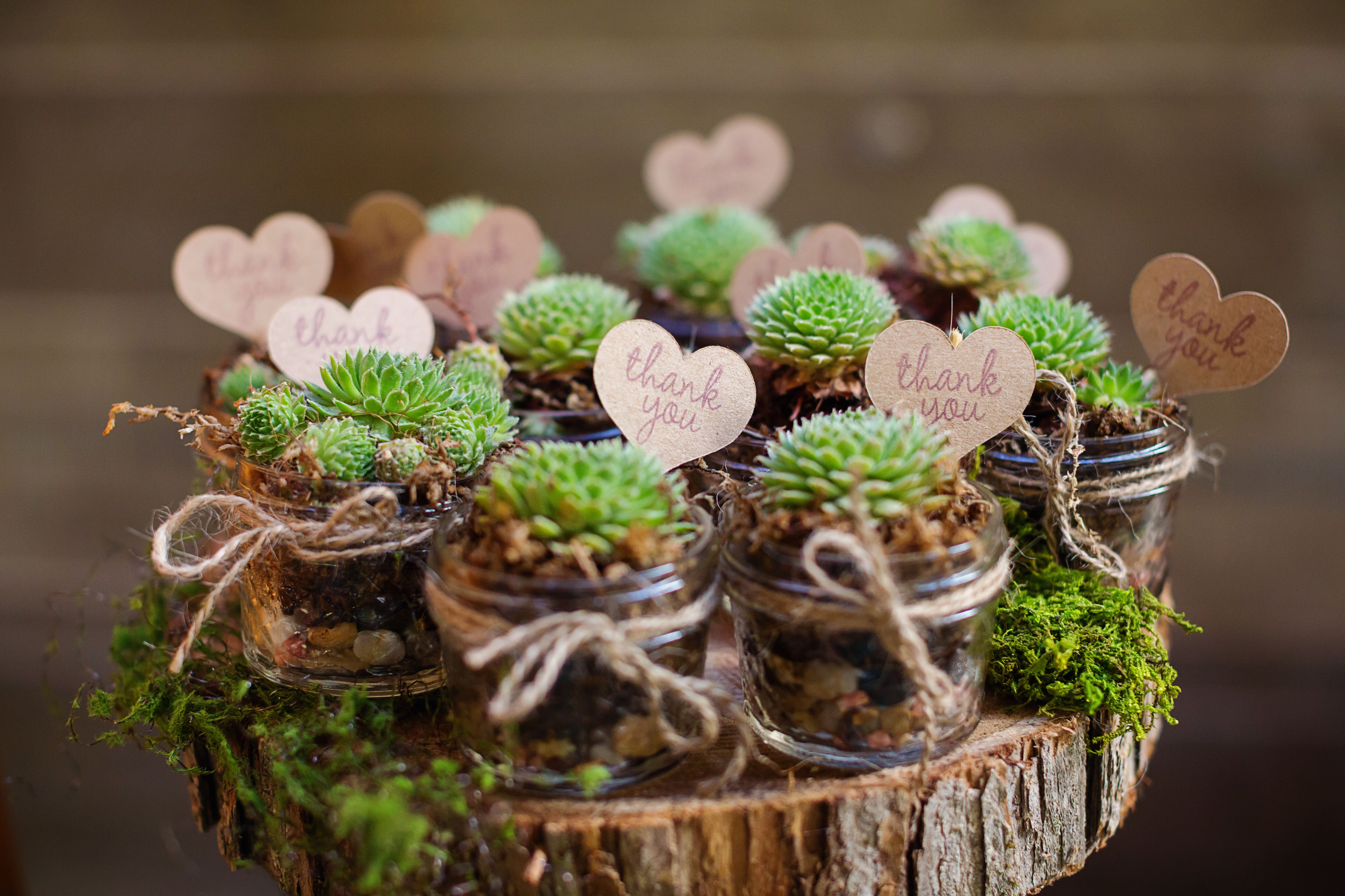 Succulents Wedding Favors