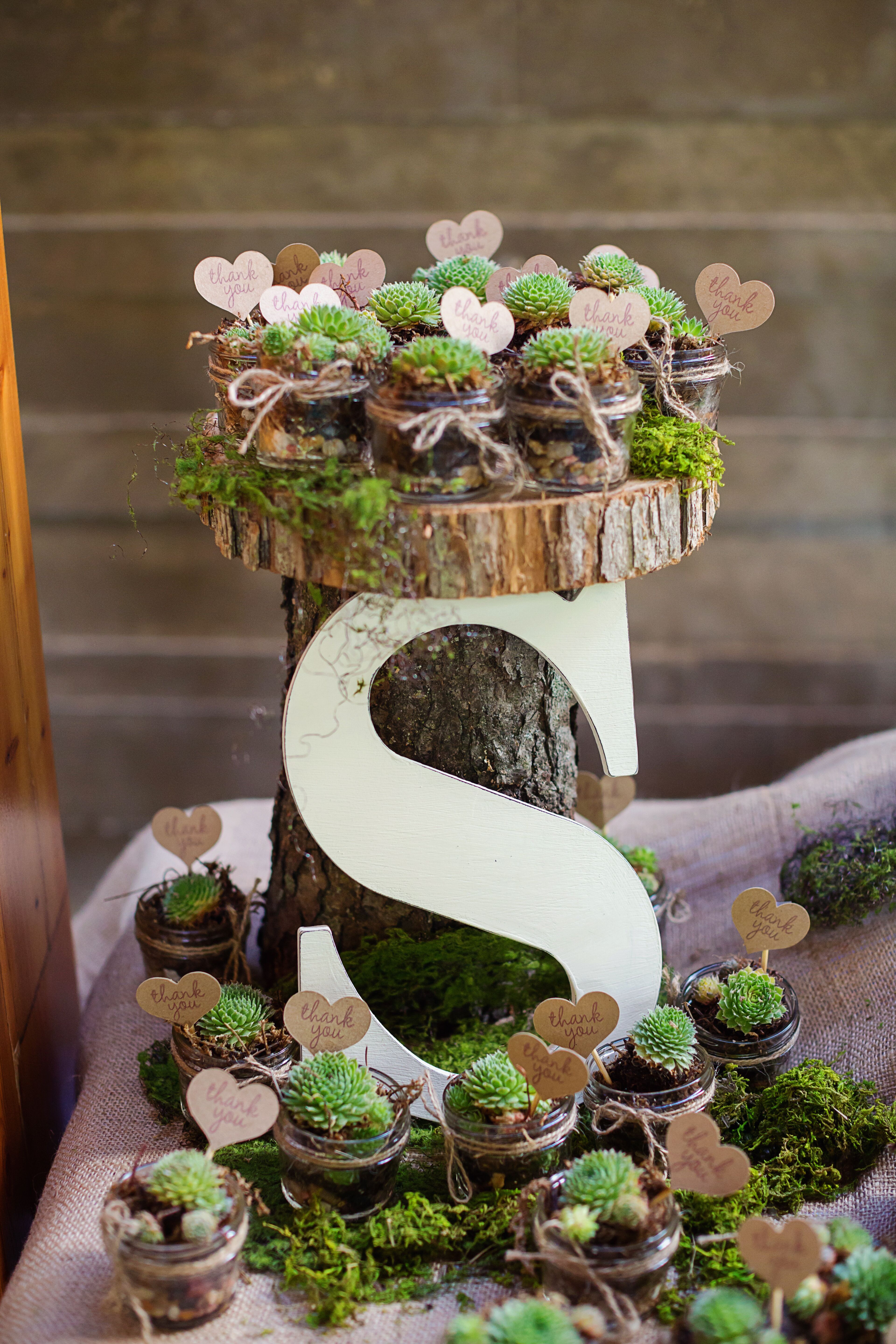 Potted Succulent Wedding  Favors 