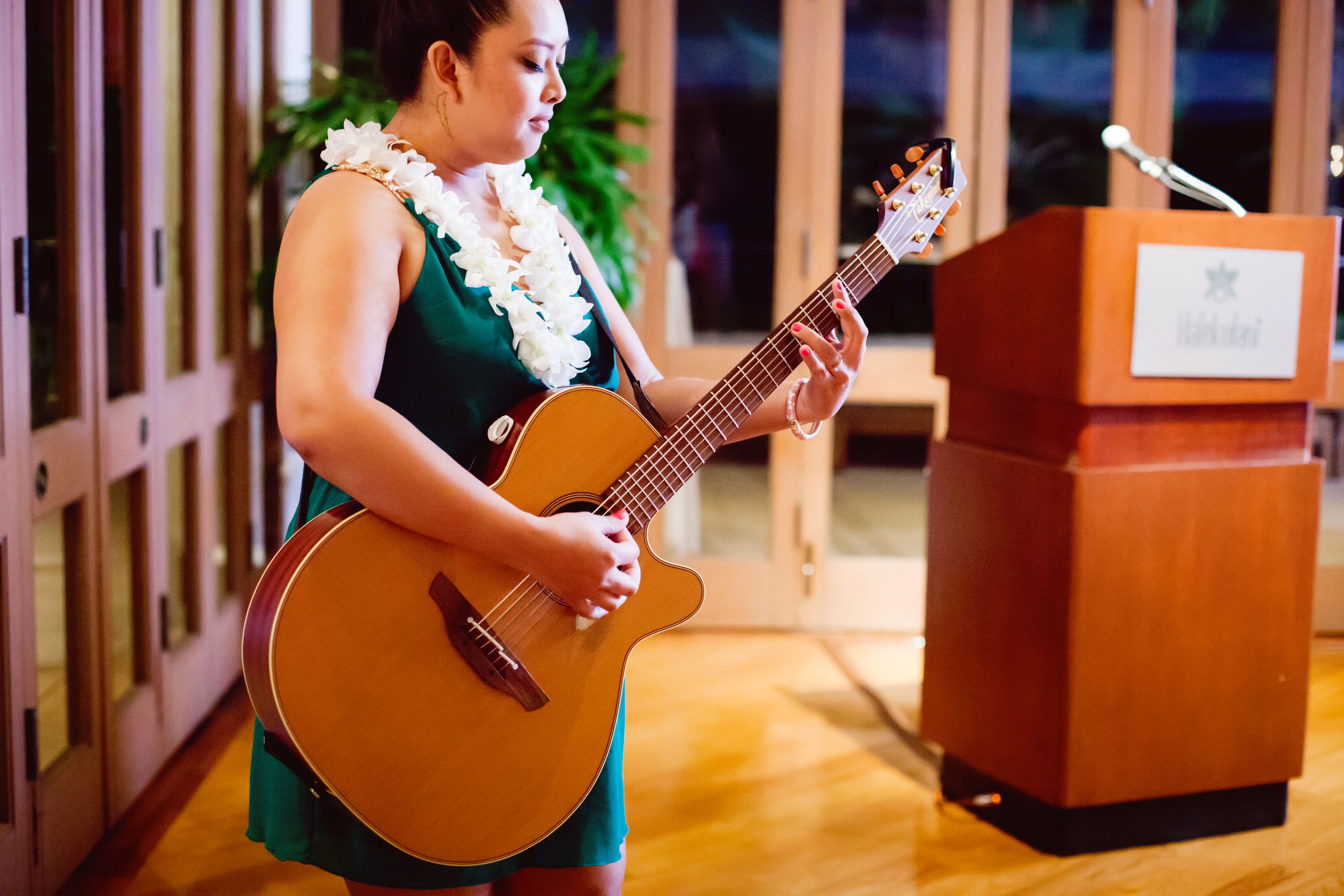 Musical Entertainment Guitar Performance by Guest