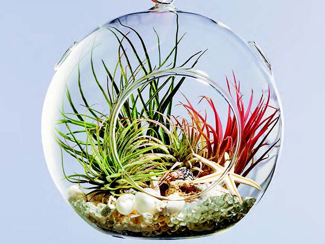 Adorable Mini Terrariums To Fill Your Home With Plants