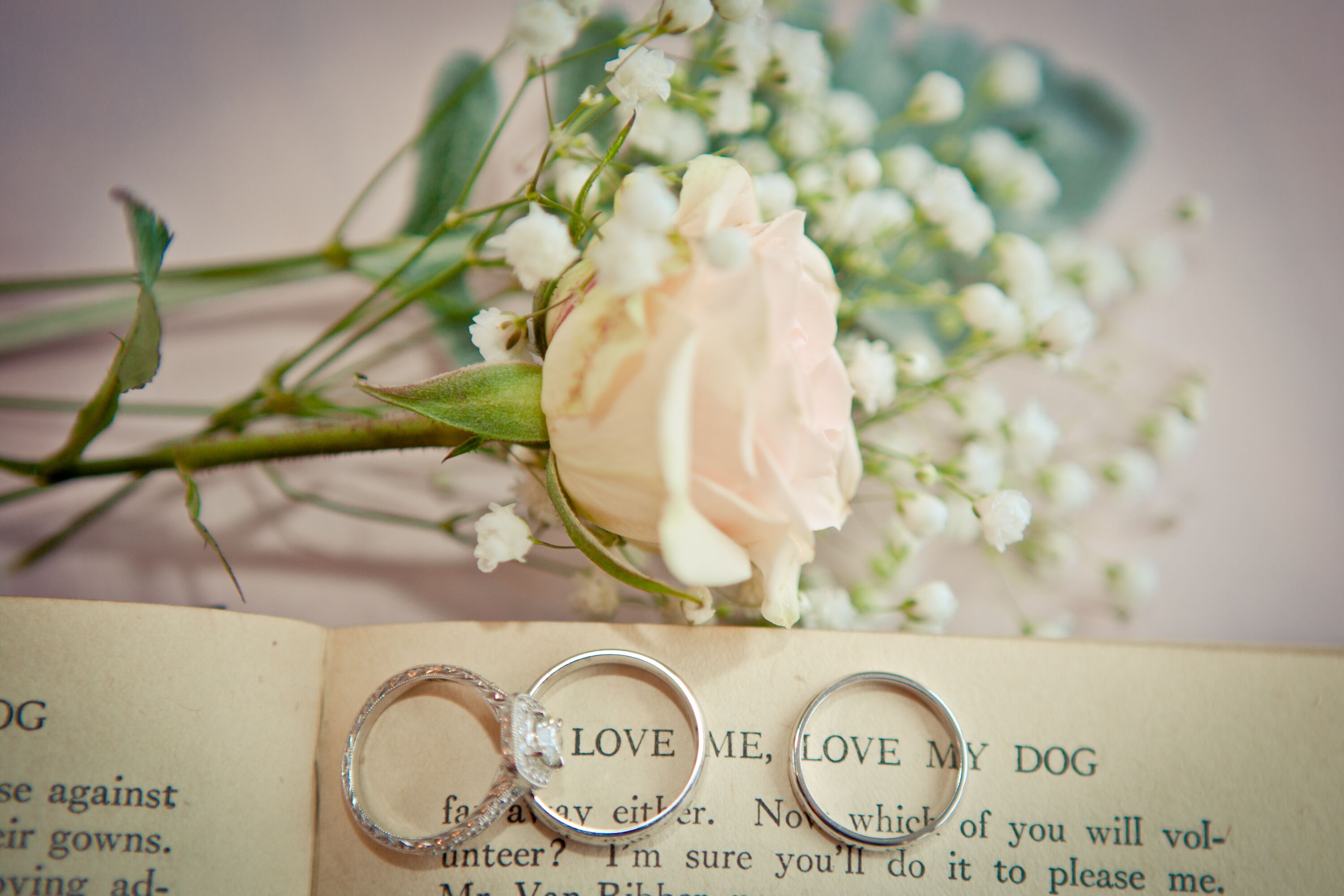 Wedding Rings with Ivory Rose and Baby's Breath