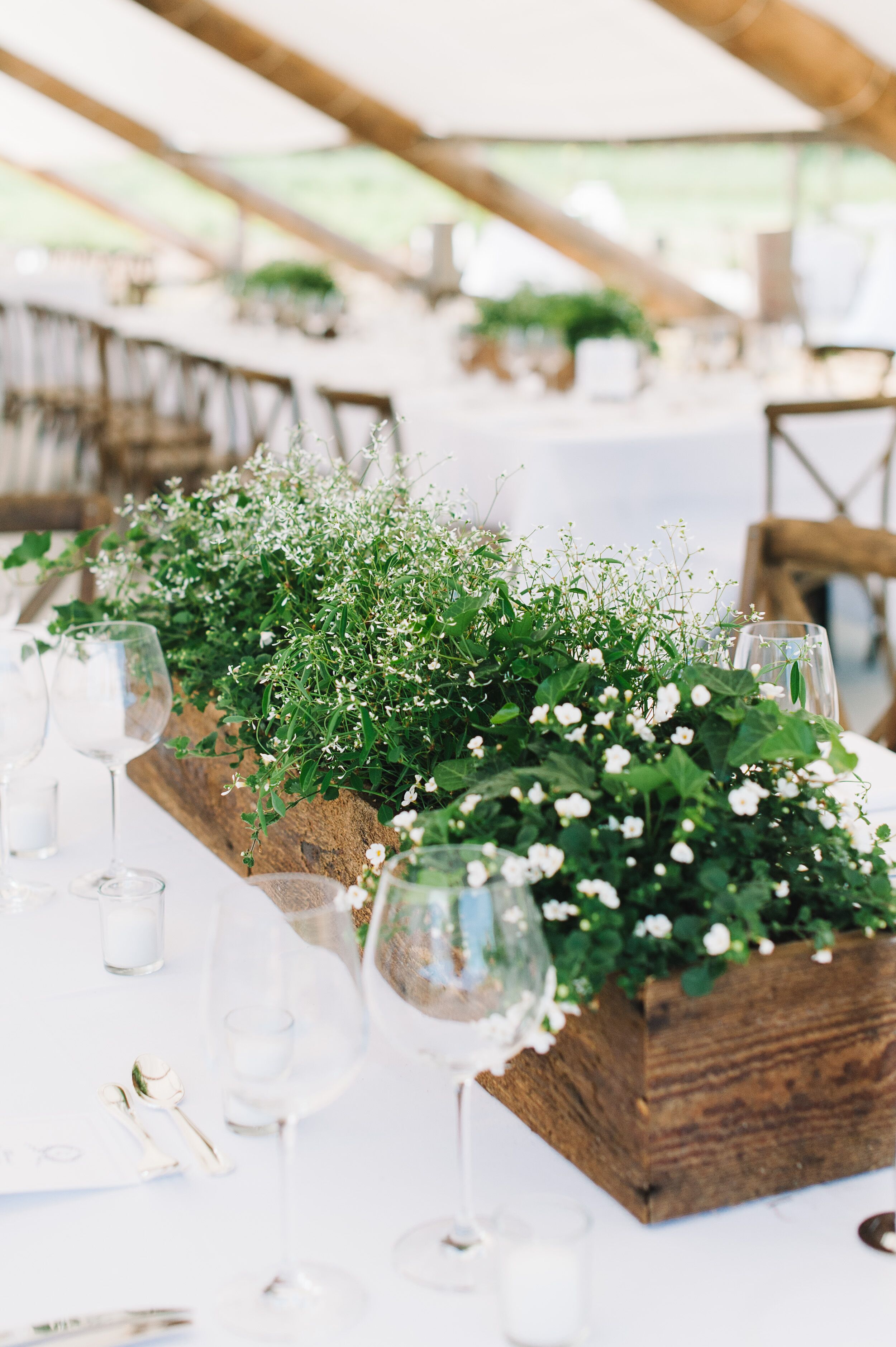 Green DIY Centerpieces in Wooden Planters