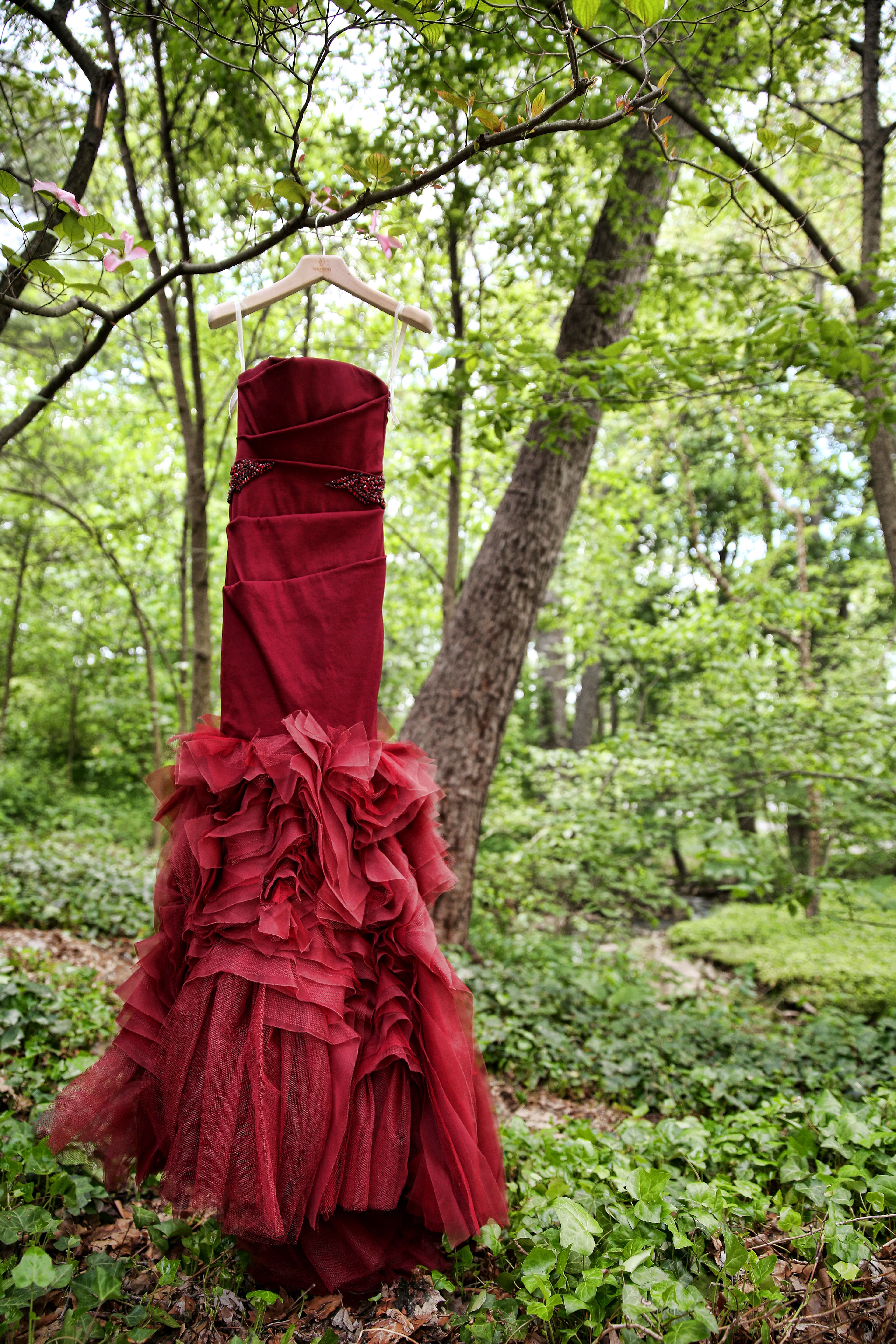 Vera Wang Crimson Red Wedding Dress