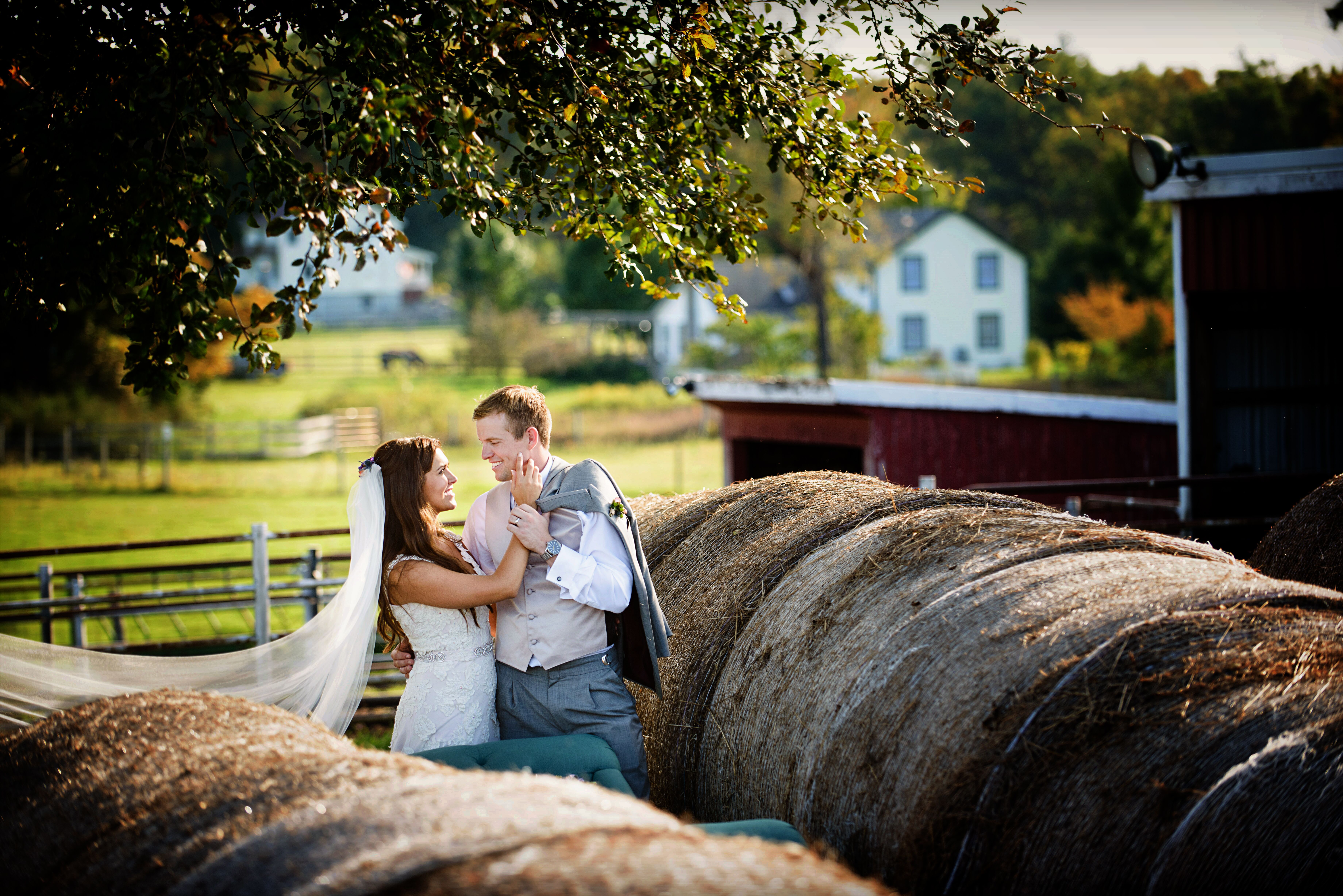 A Vintage Chic Barn Wedding  at Parks Show Cattle Farm in 