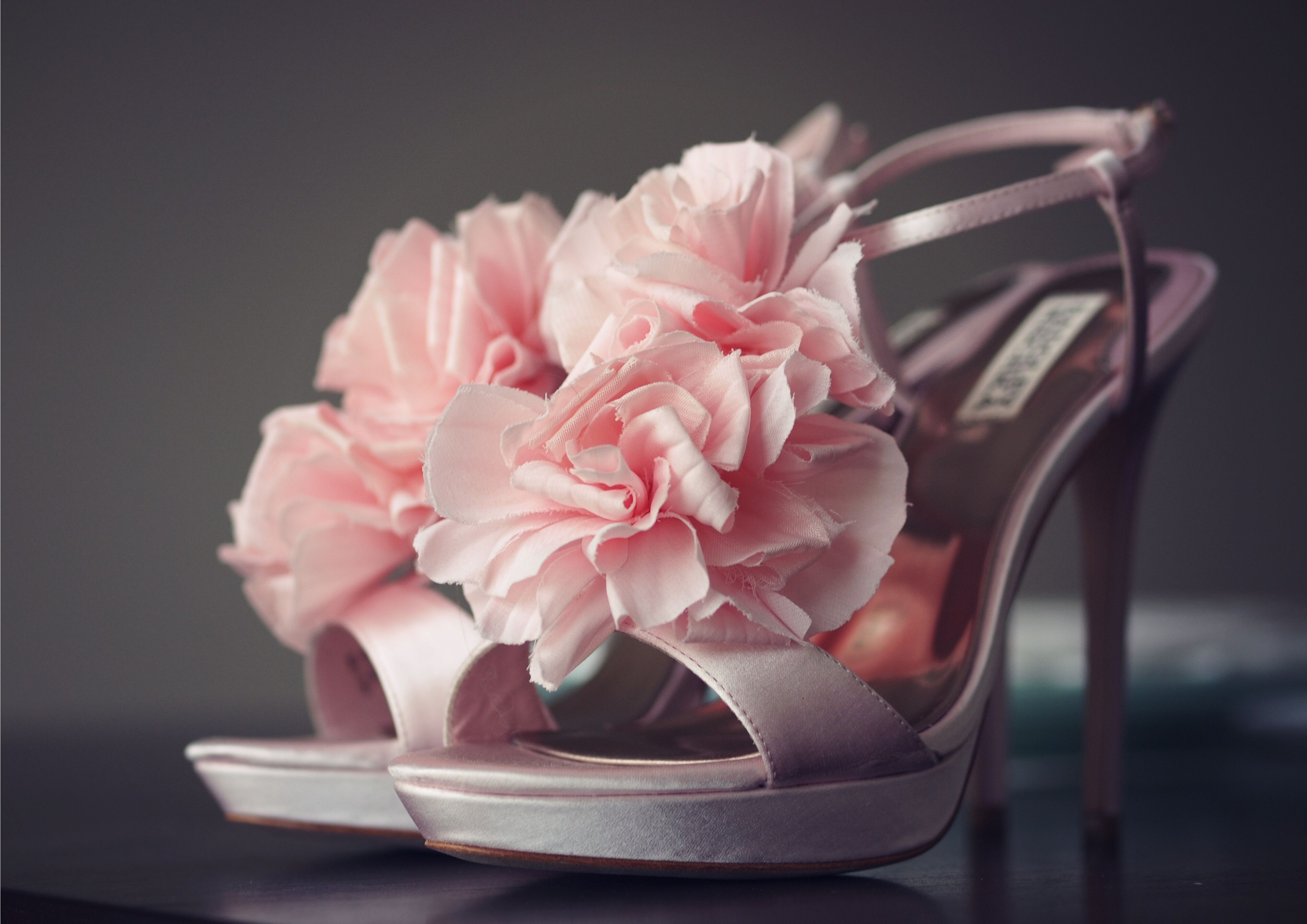 Badgley mischka best sale pink shoes