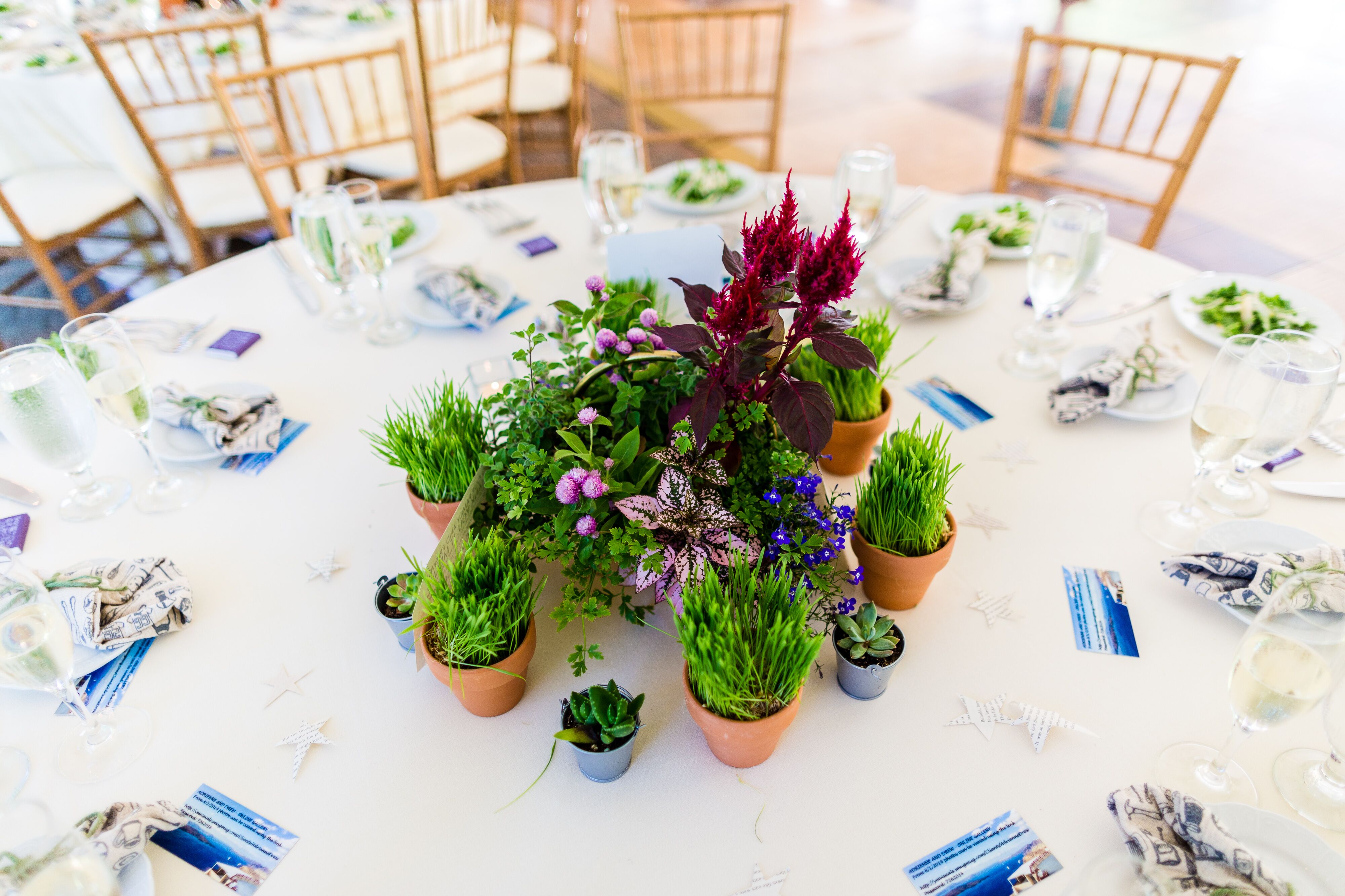 Garden-Inspired Potted Plant Centerpieces