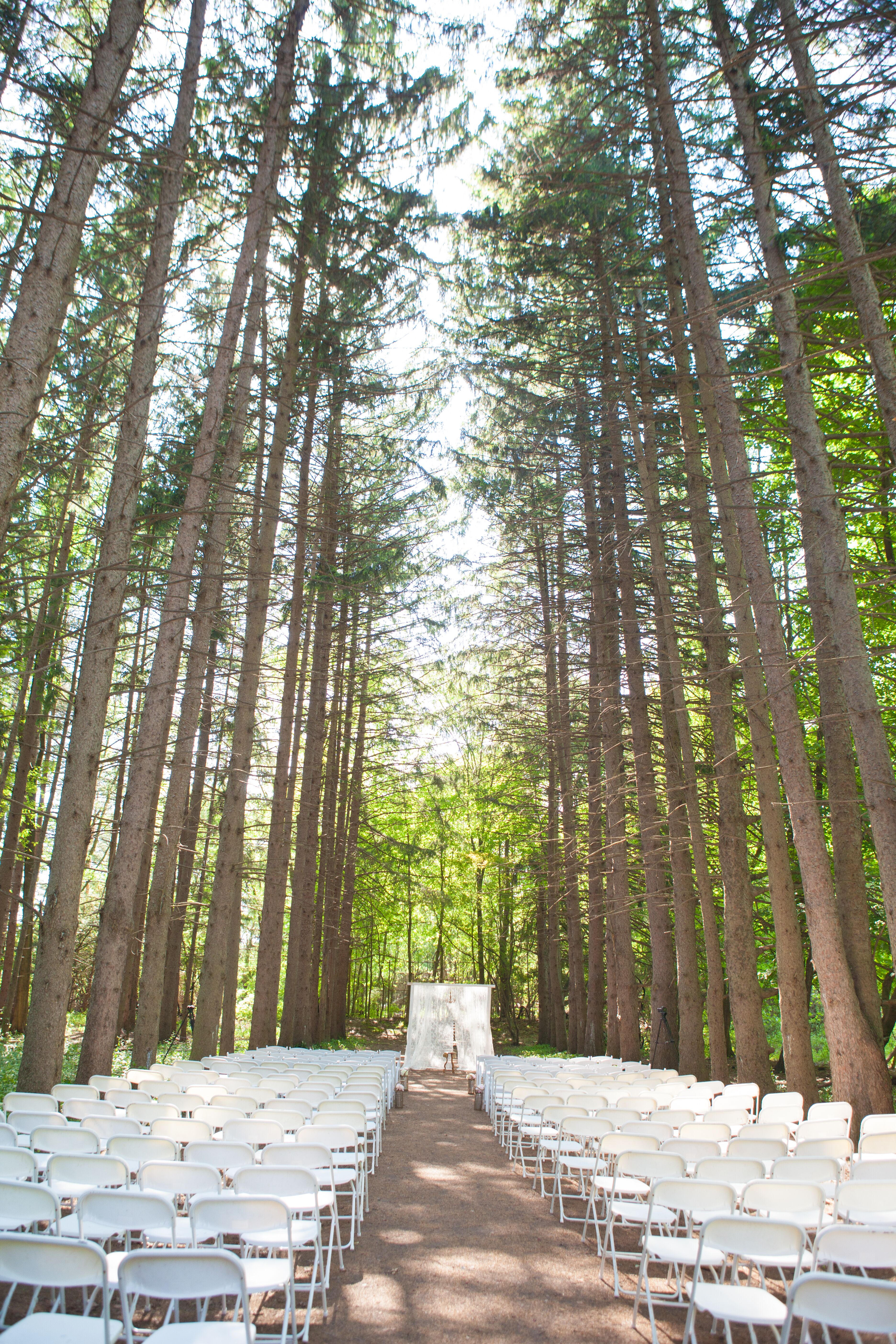 Outdoor Ceremony at Stony Creek Metropark