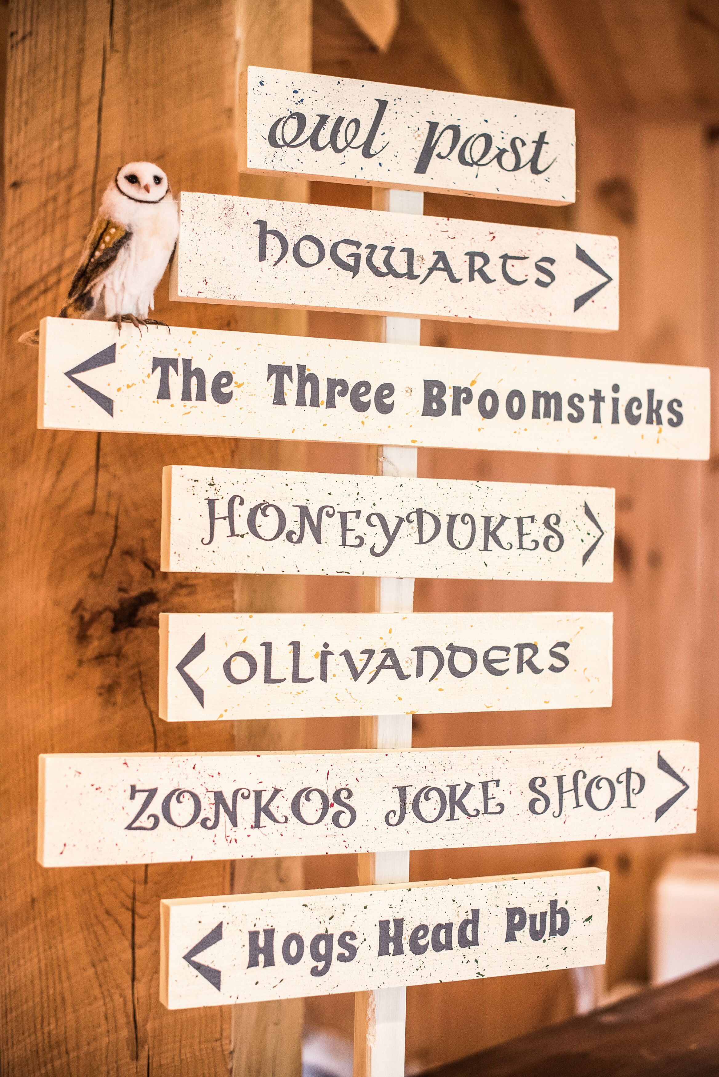 Harry Potter–Themed Directional Sign