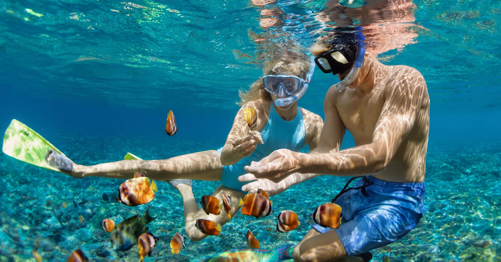 Best snorkeling in the keys