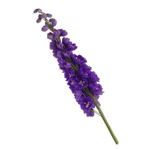 purple delphinium flwoer