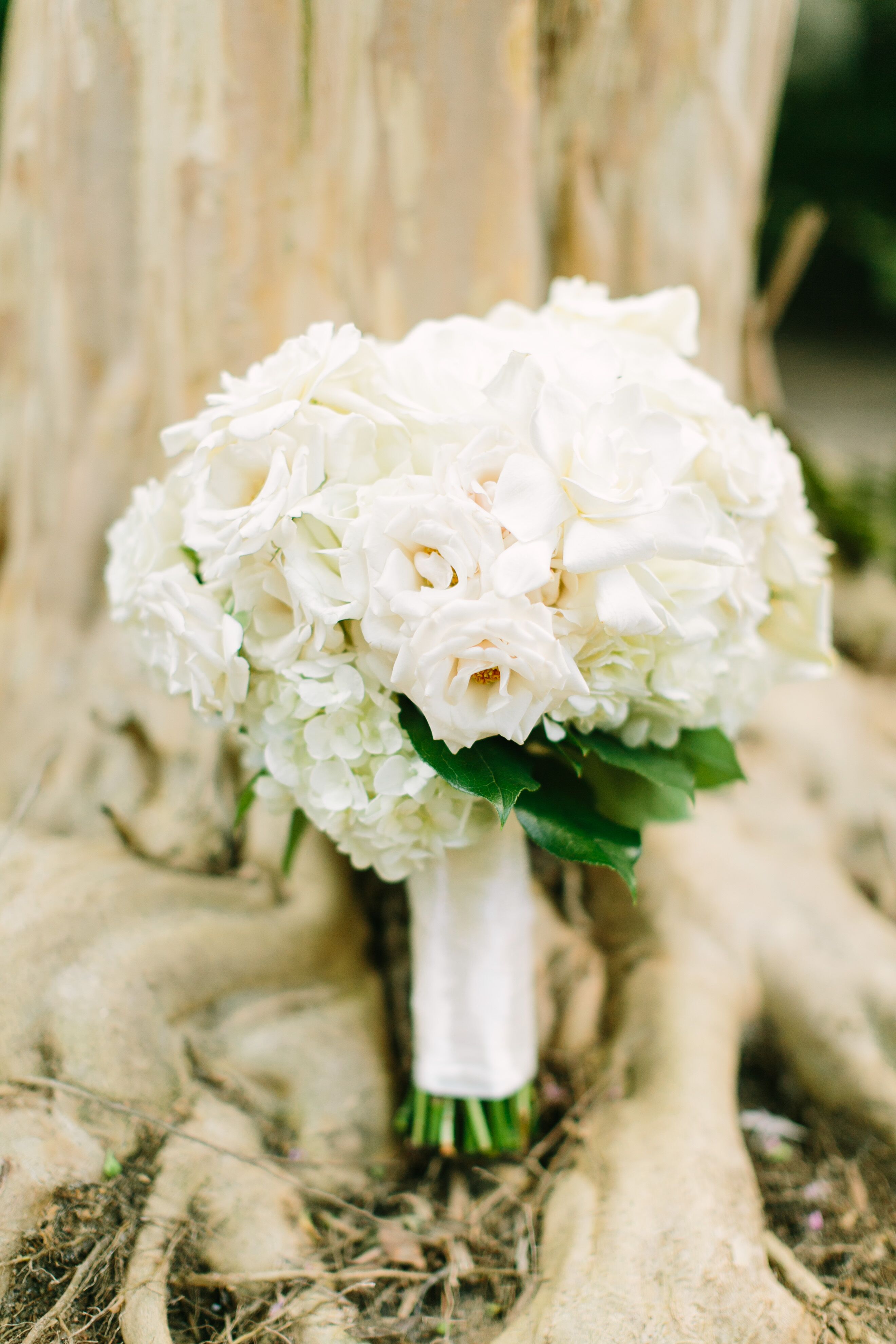 White Gardenia, Rose, Hydrangea Bridal Bouquet