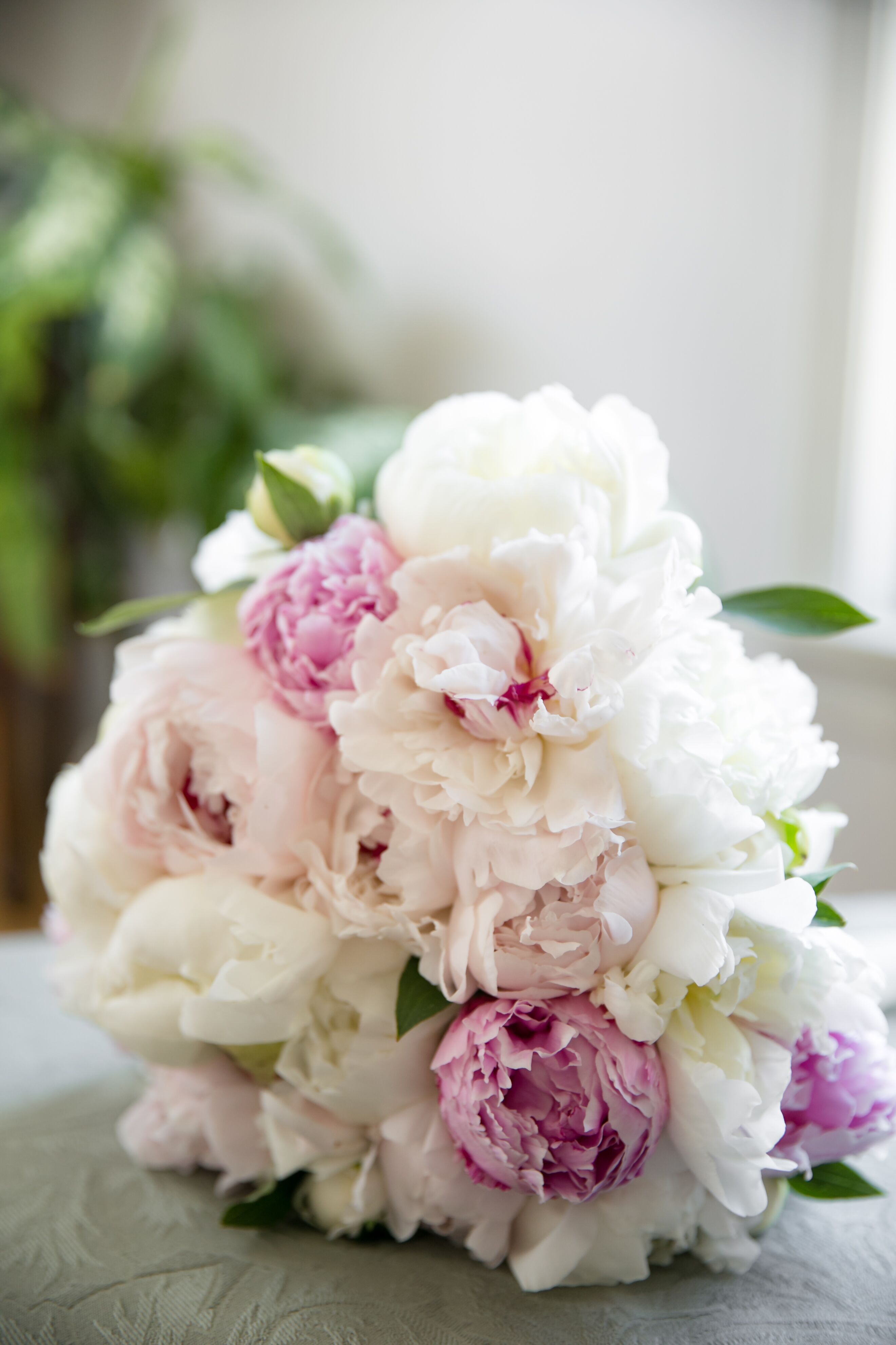 Pink and White Peonies Bouquet