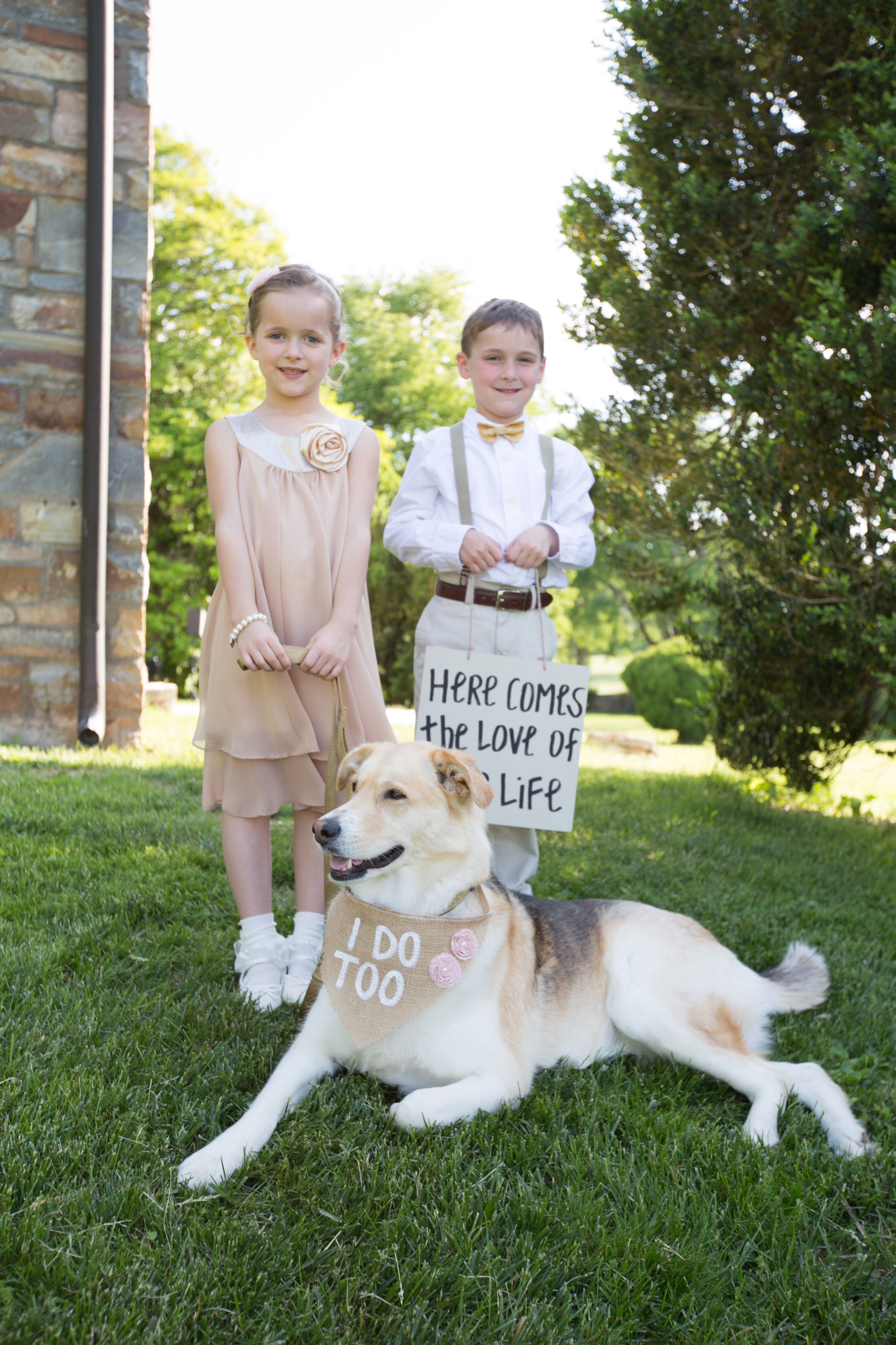 Dog as flower girl in wedding sale