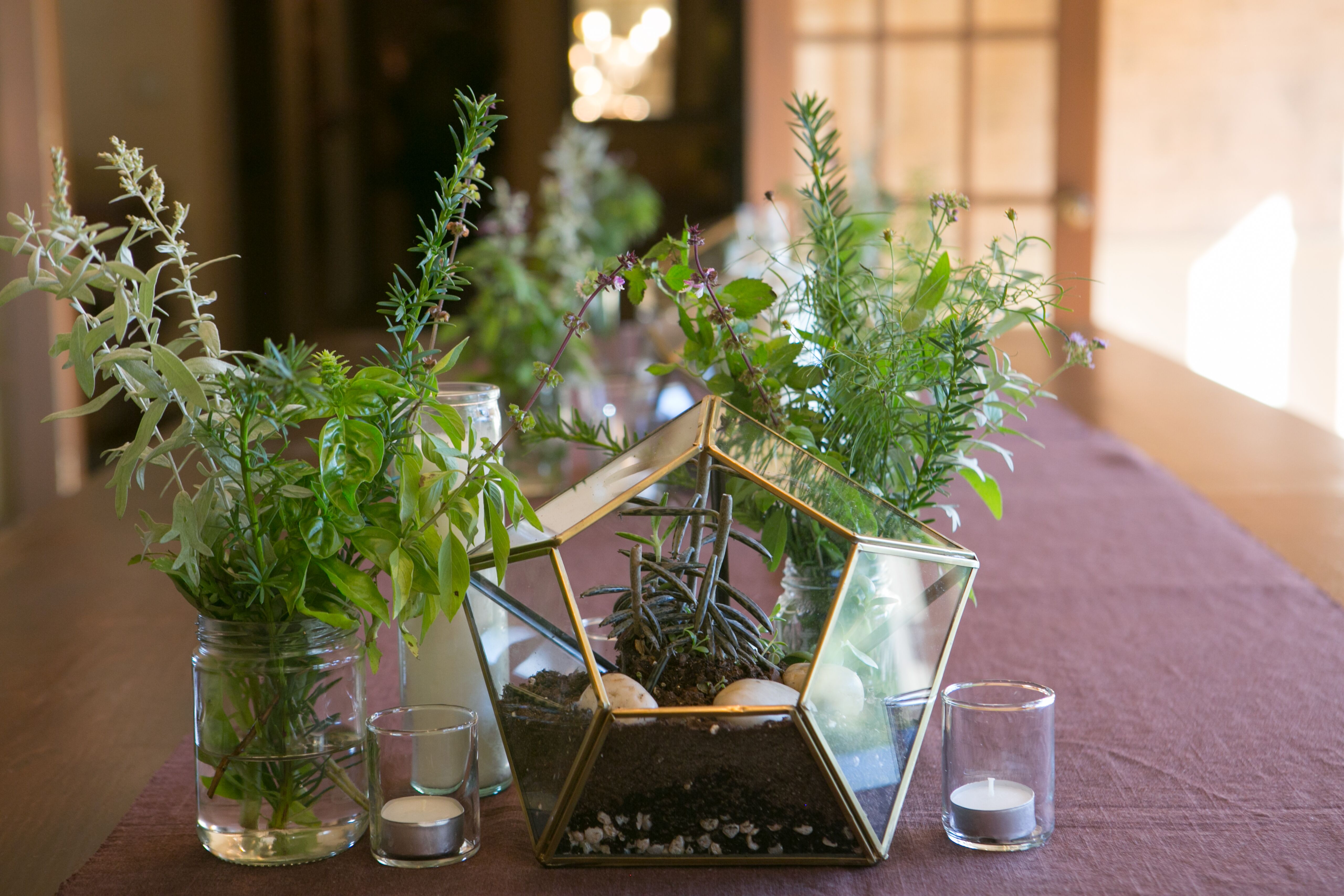 Earthy Geometric Terrarium Centerpieces