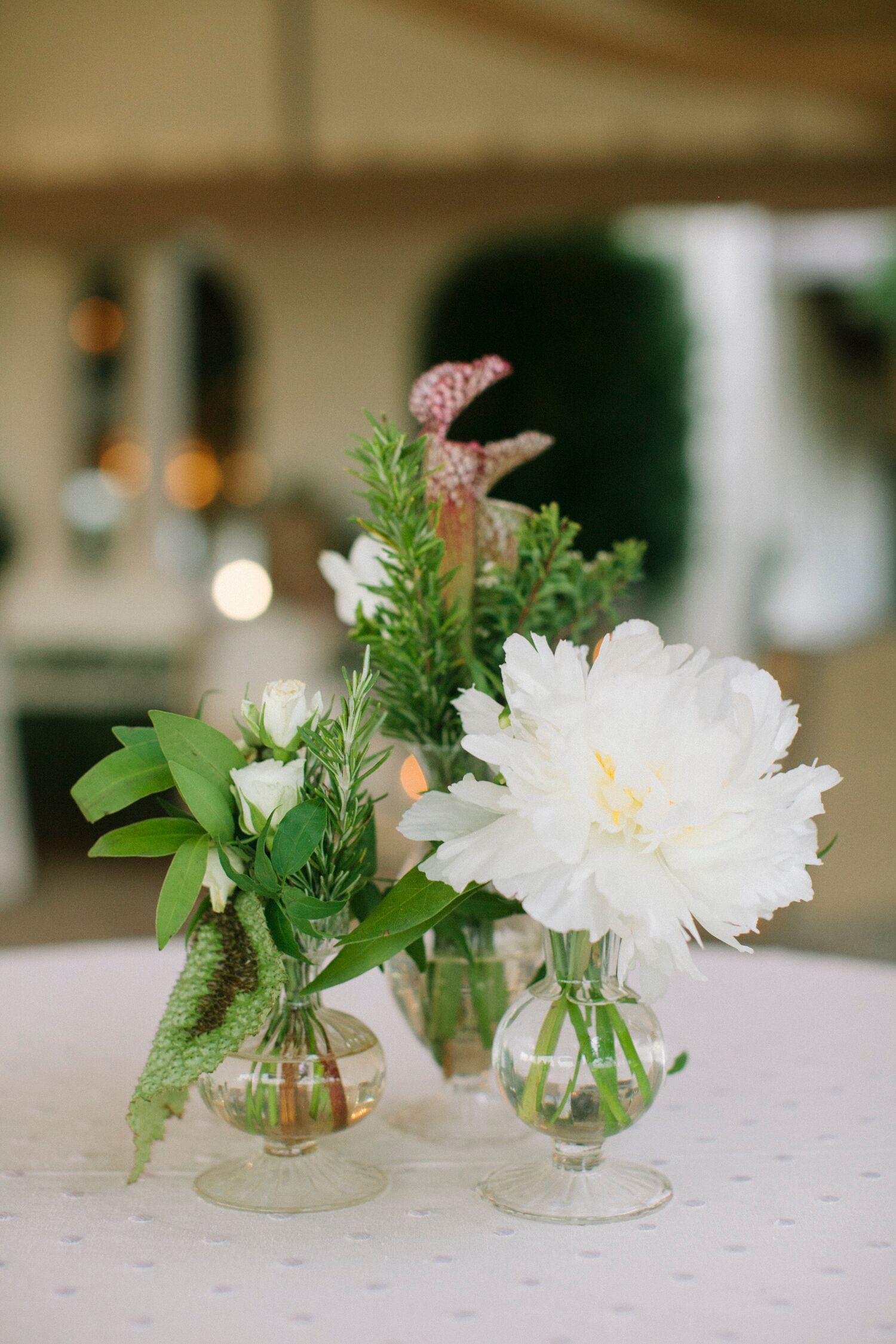 Wild Bud Vase Centerpieces with Pitcher Plant