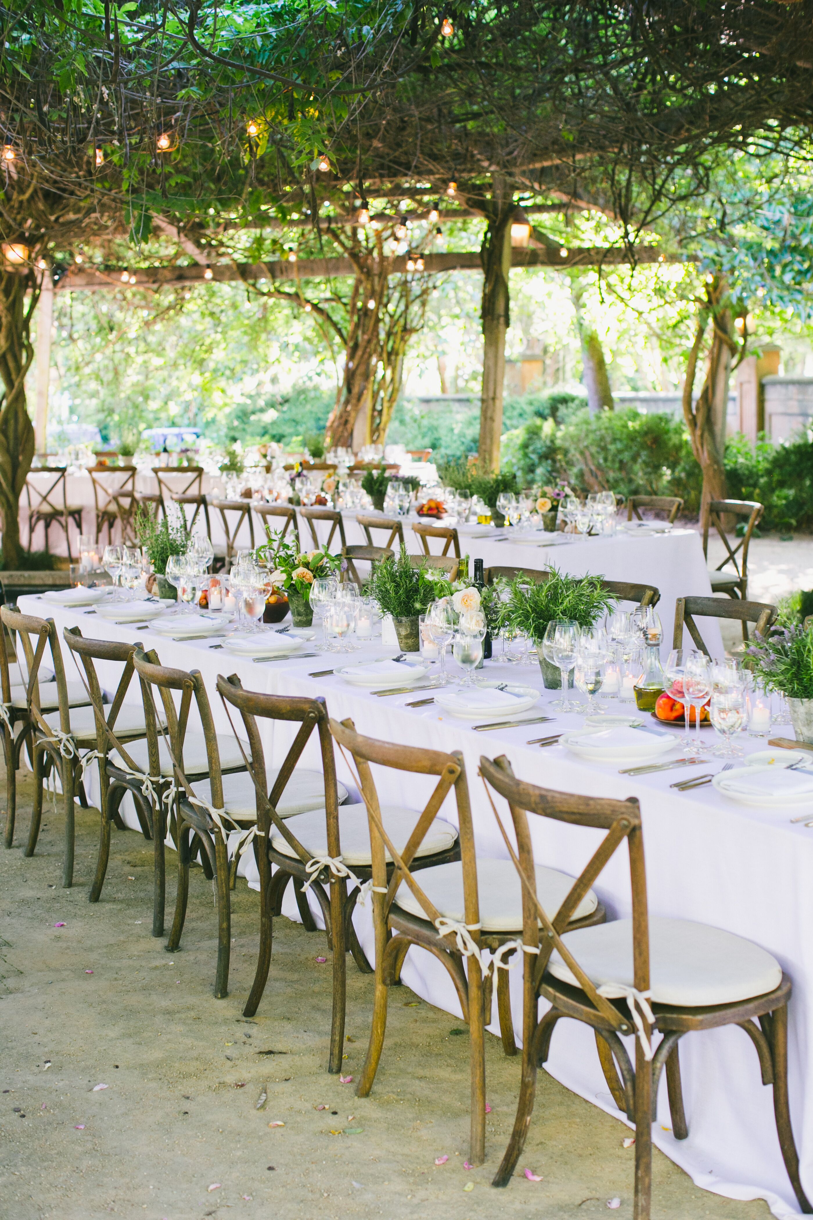 Romantic Reception Under Trees with String Lights