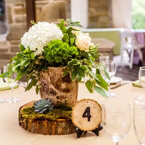 Natural Birch Wood and Succulent Flower Arrangements