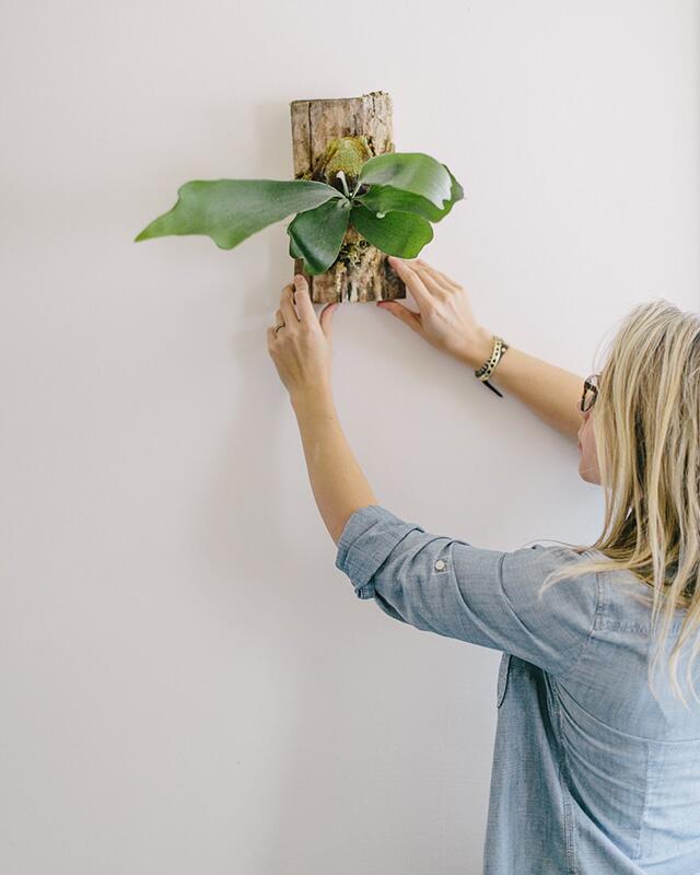 woman hanging plant