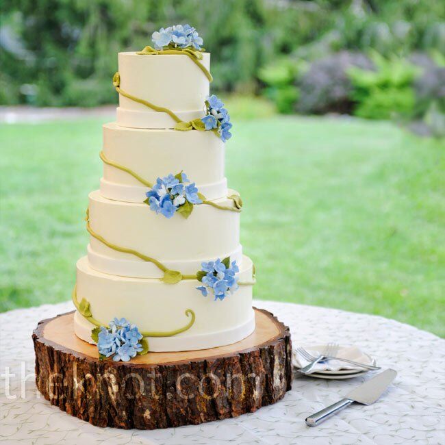 Flower and Vine Cake