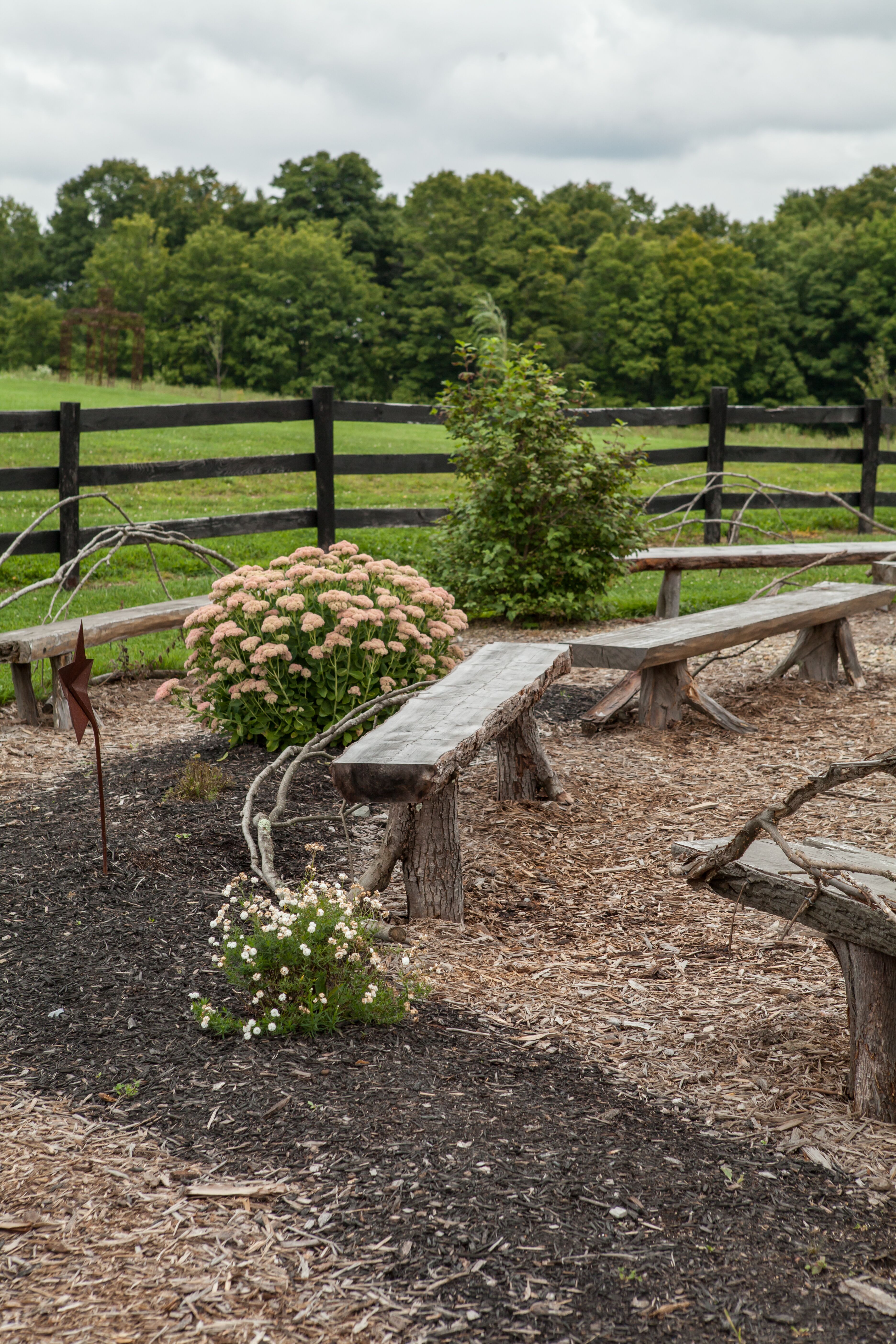 Wooden Ceremony Benches 