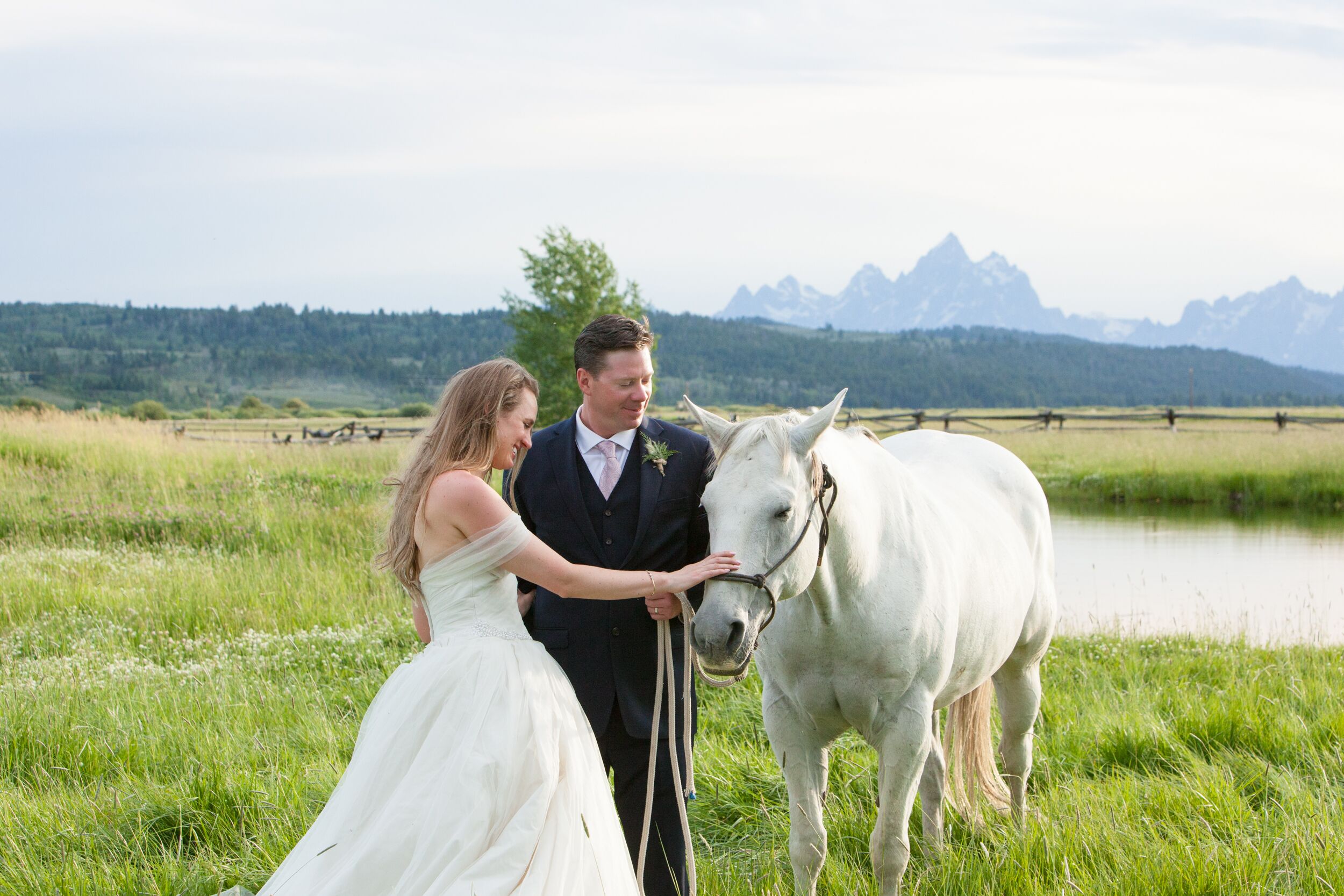 Diamond Cross Ranch White Horse Wedding Photo Op