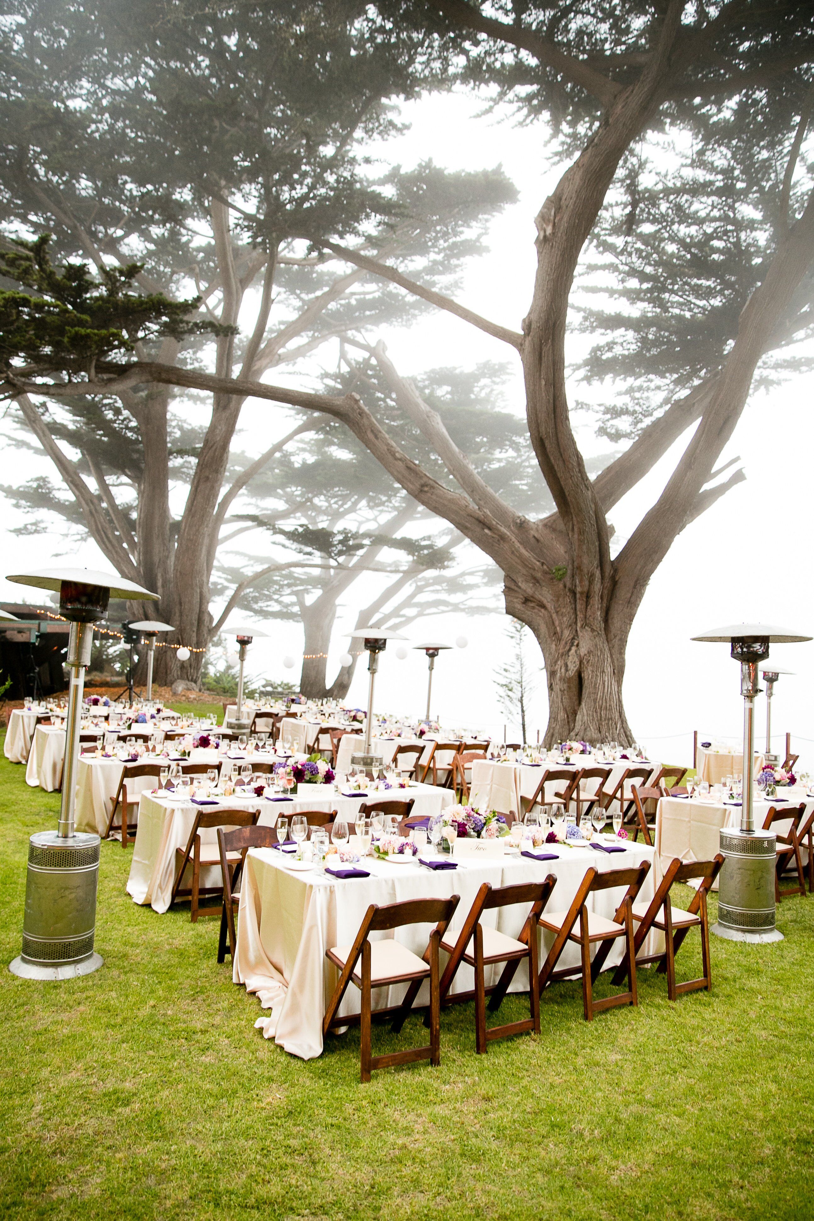 Formal Outdoor Reception