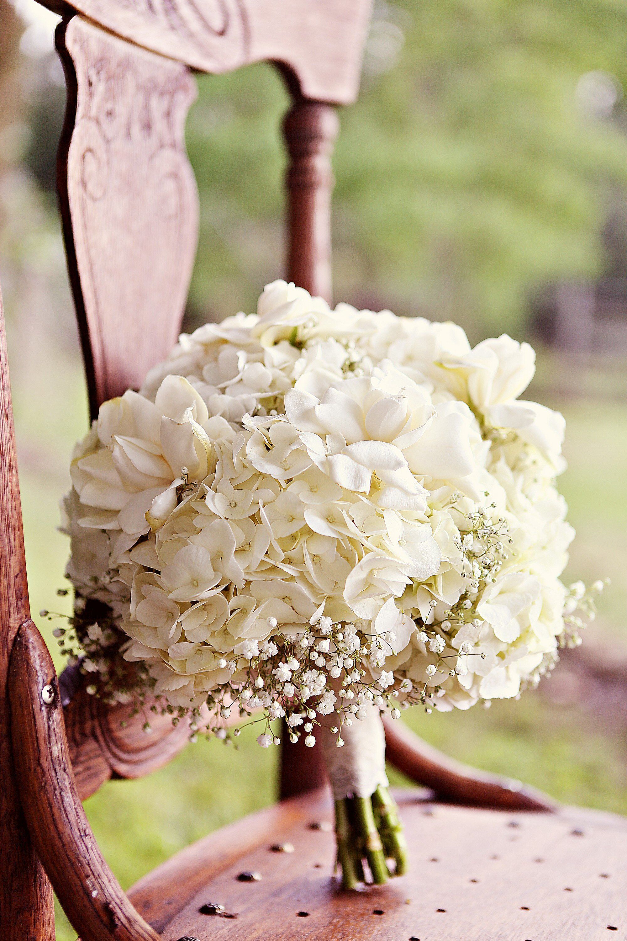 Image of Hydrangea the bride bouquet of white hydrangeas