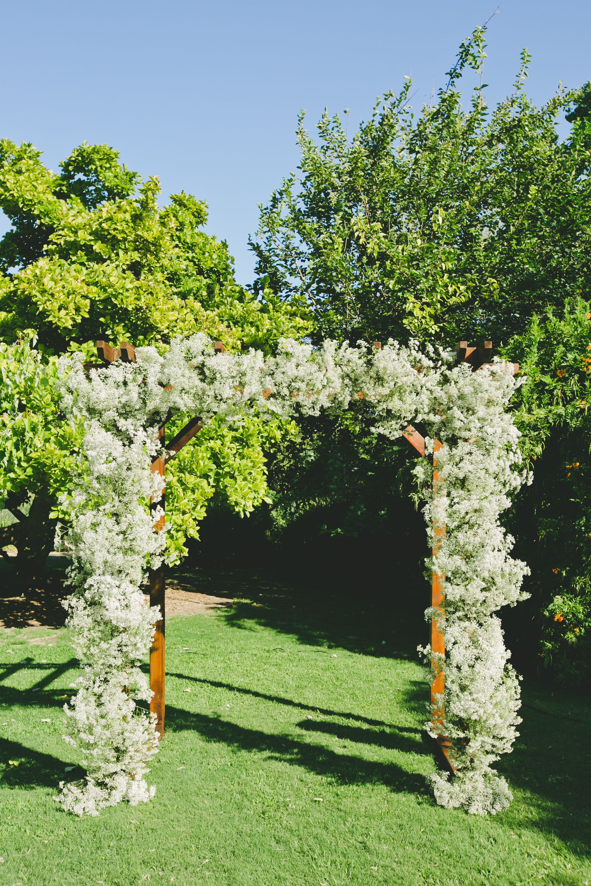 Babys Breath Wedding Arch